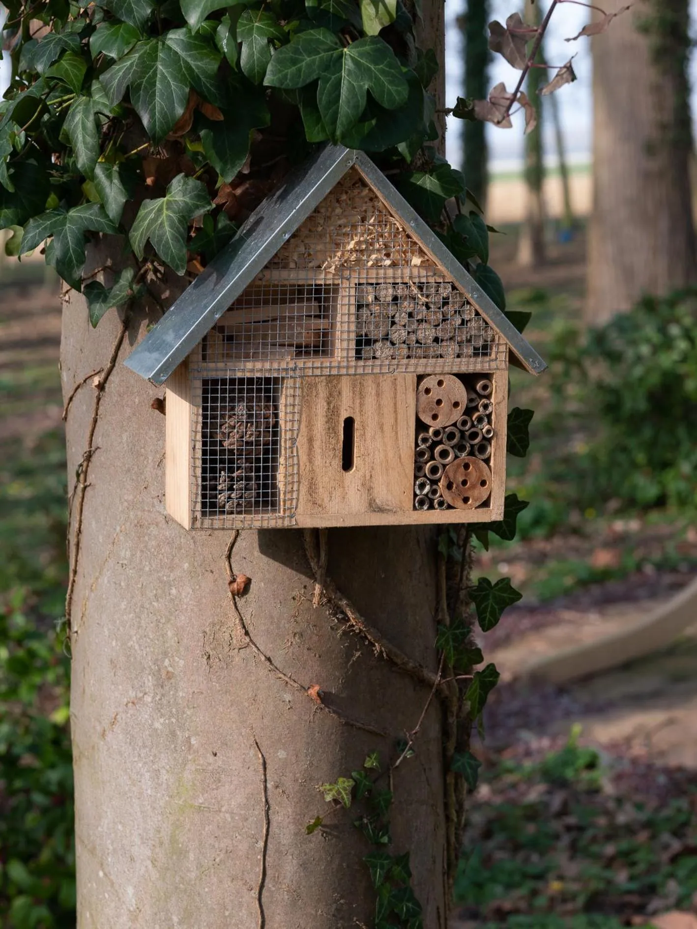 Le Château De Beaulieu