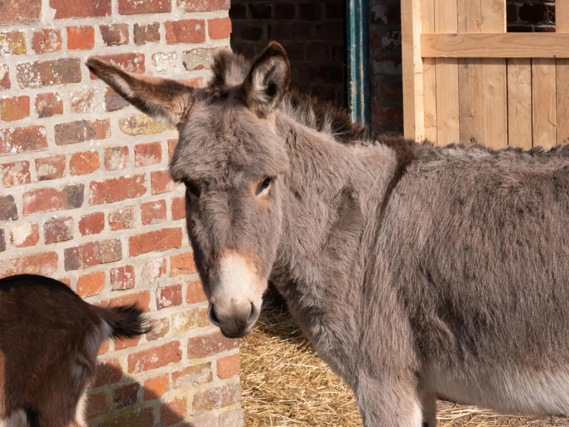 Le Château De Beaulieu