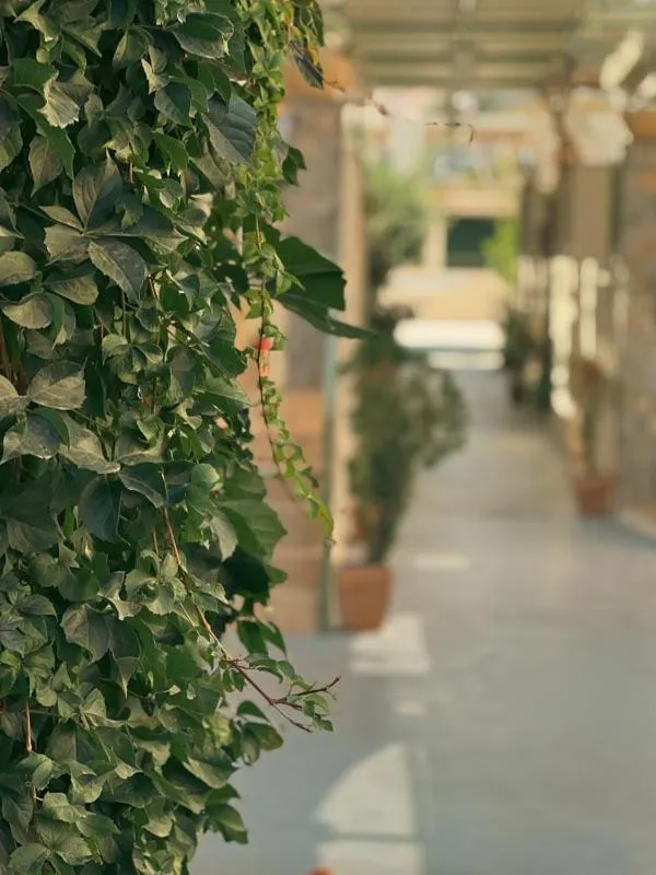 Ammoudara Beach Hotel Apartments