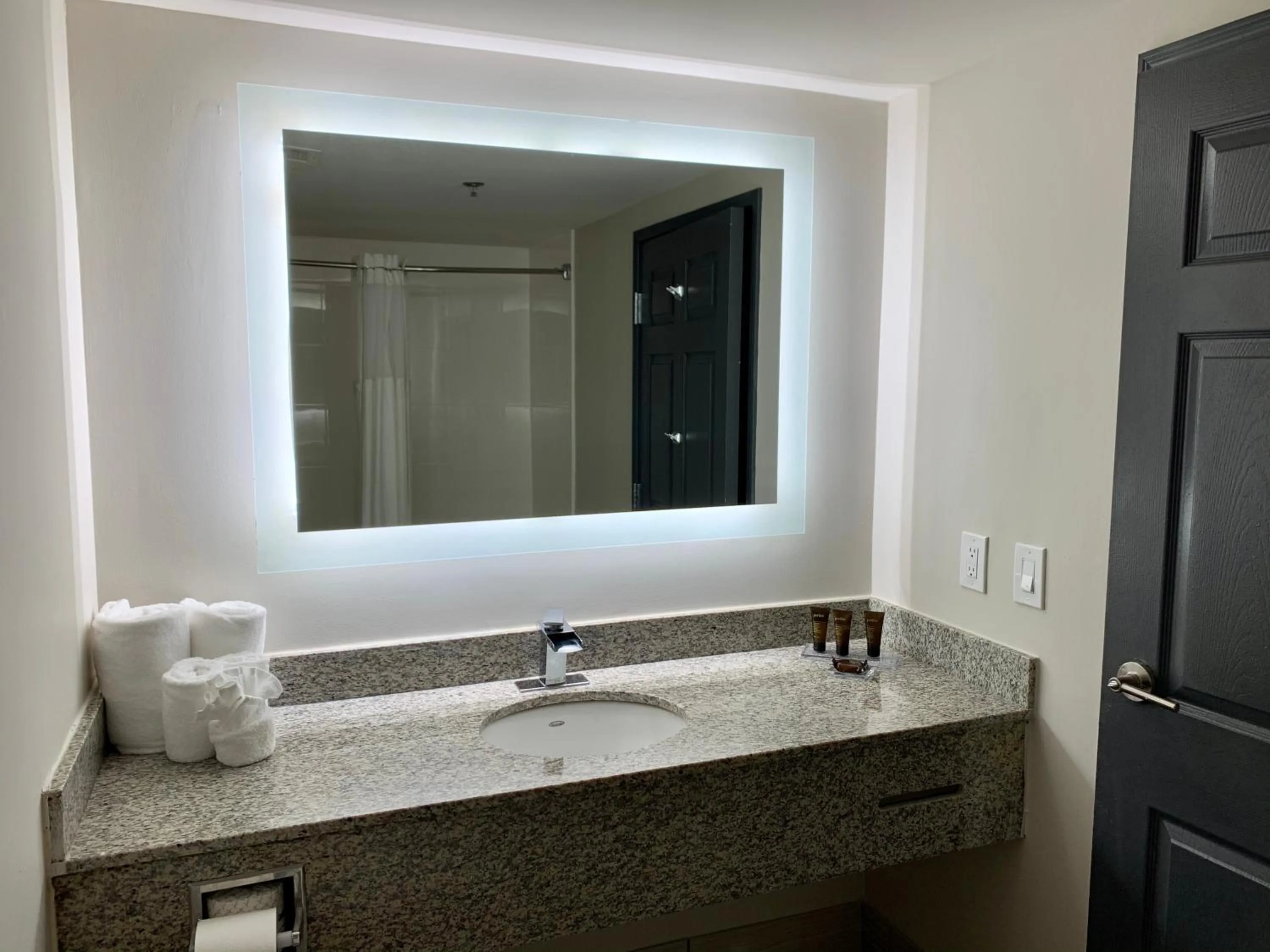 Bathroom in Wingate by Wyndham Atlanta Galleria/ Ballpark