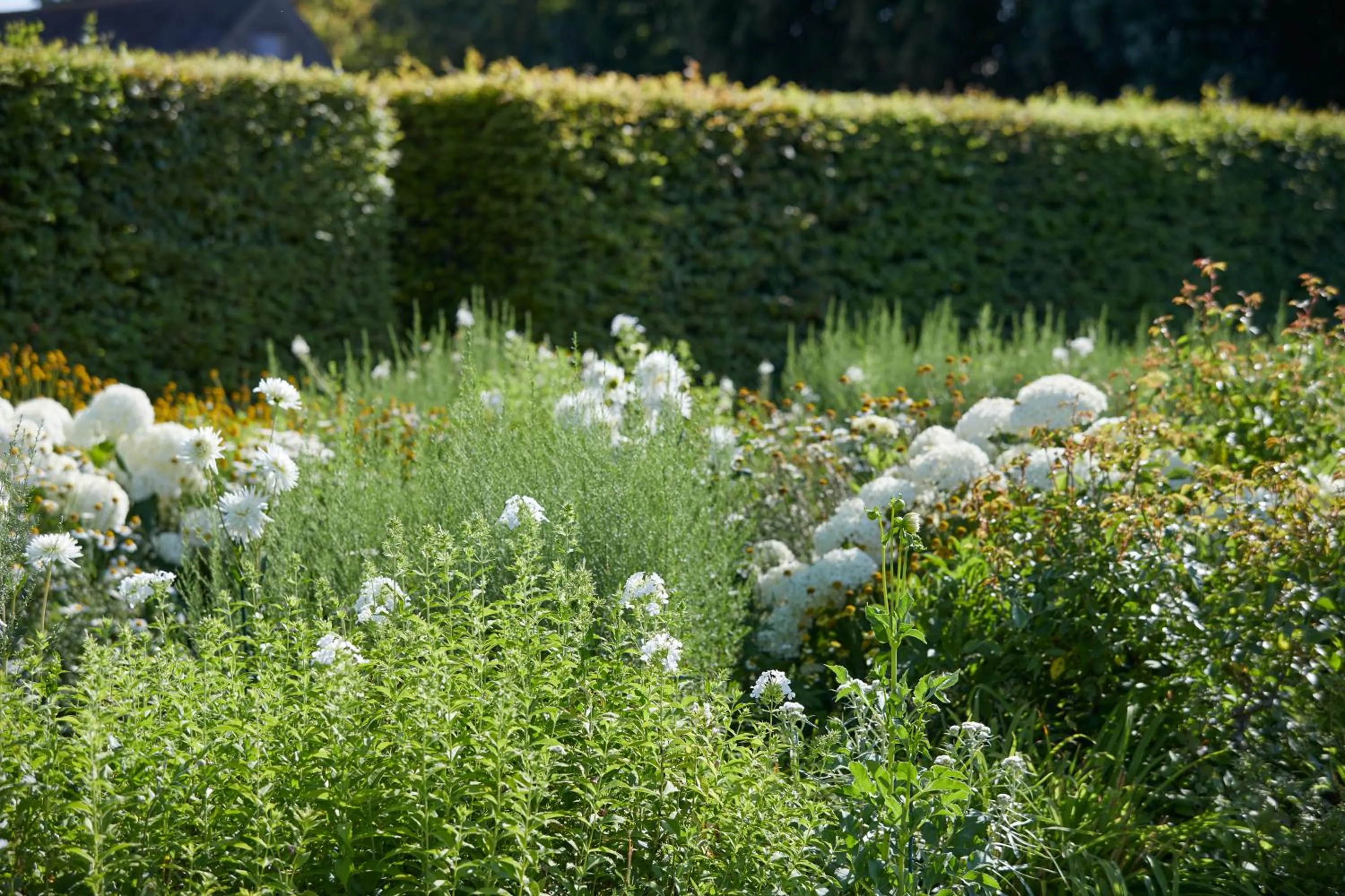 Natural landscape in Chateau d'Audrieu