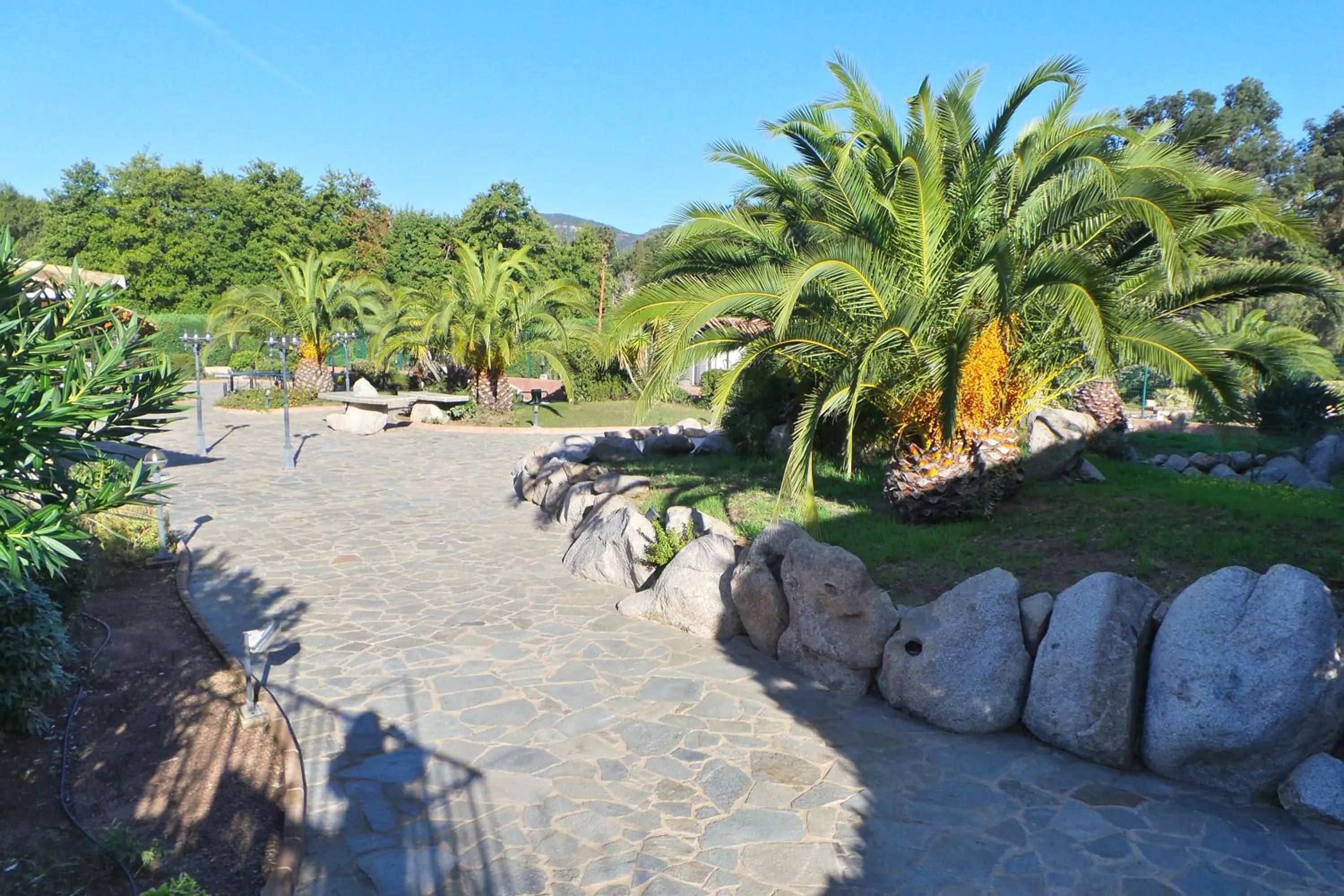 Garden in Hotel Olmuccio
