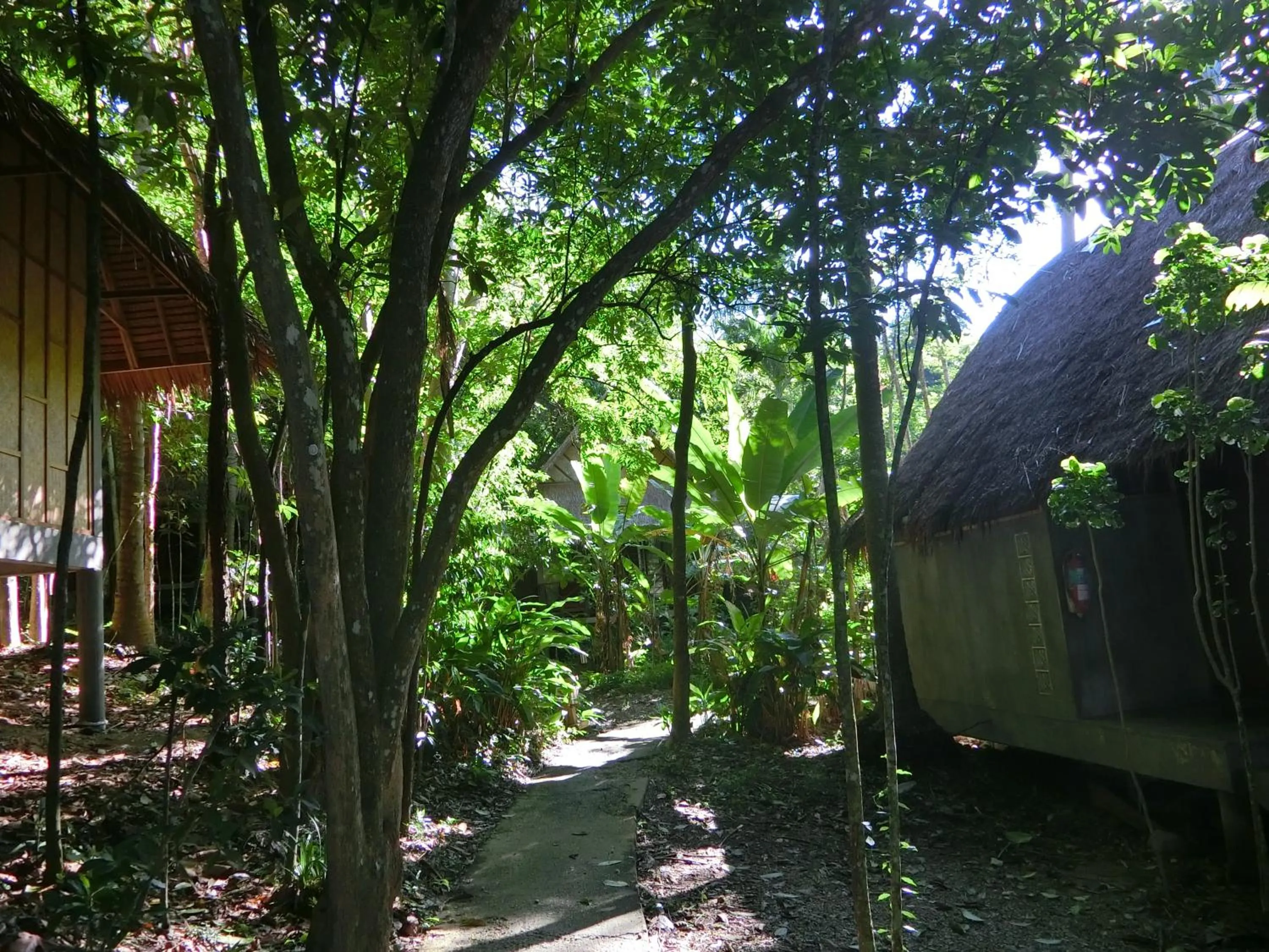 The Narima - SHA Plus