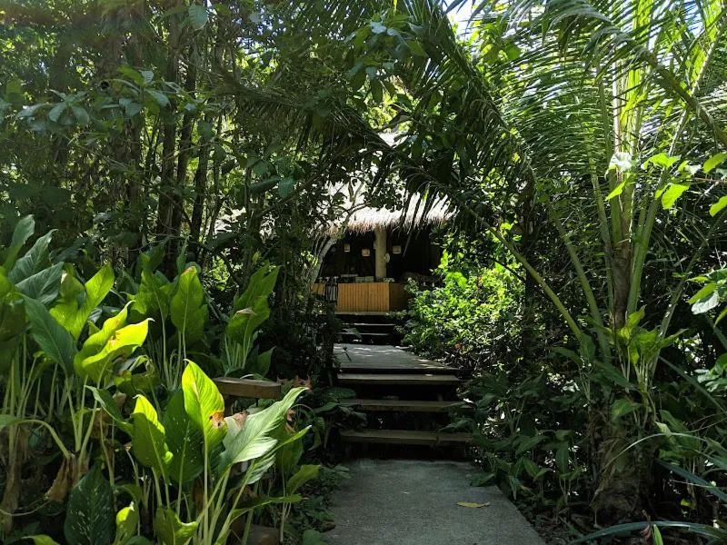 The Narima - SHA Plus