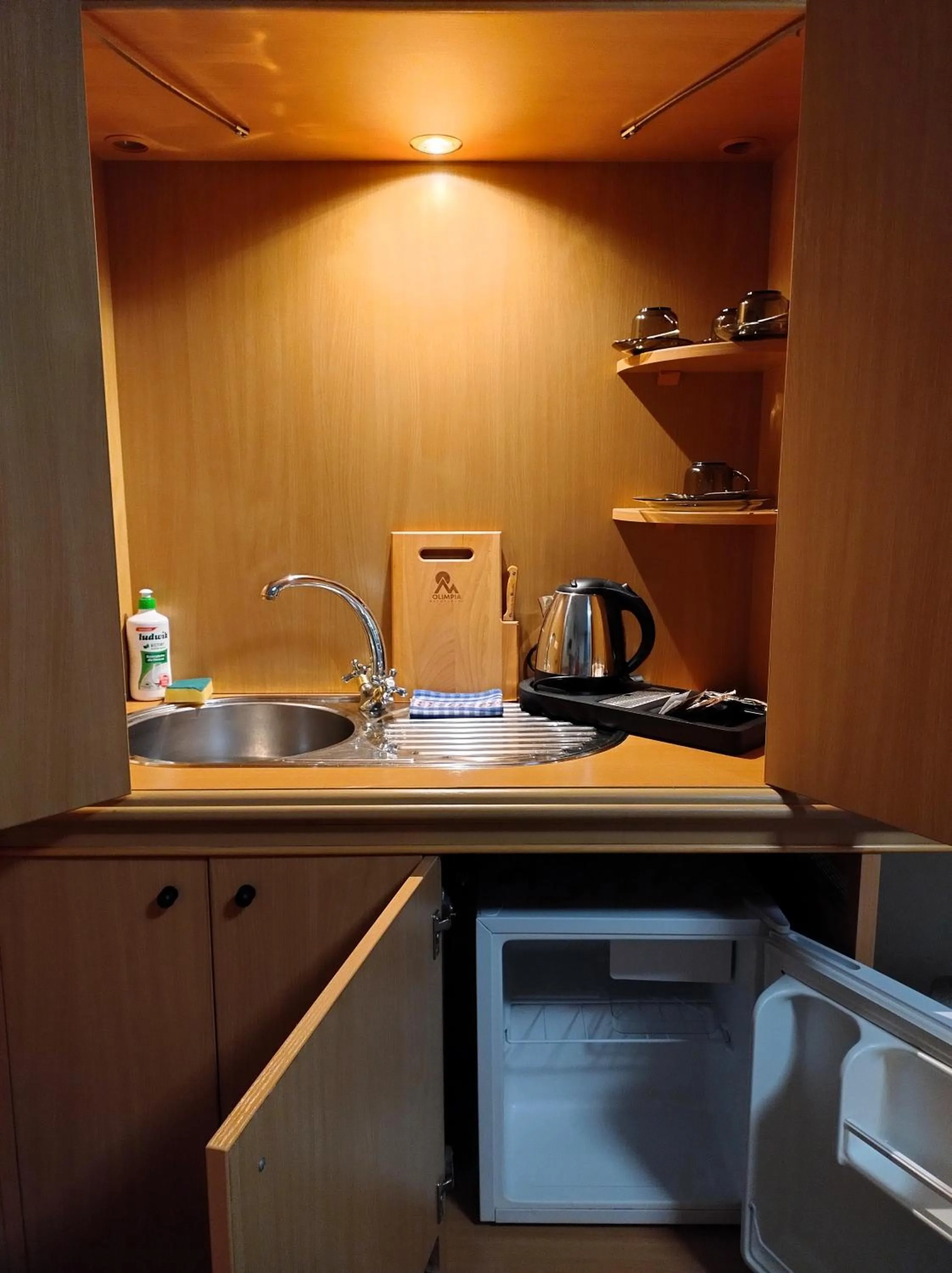 Kitchen or kitchenette in Olimpia Resort & SPA
