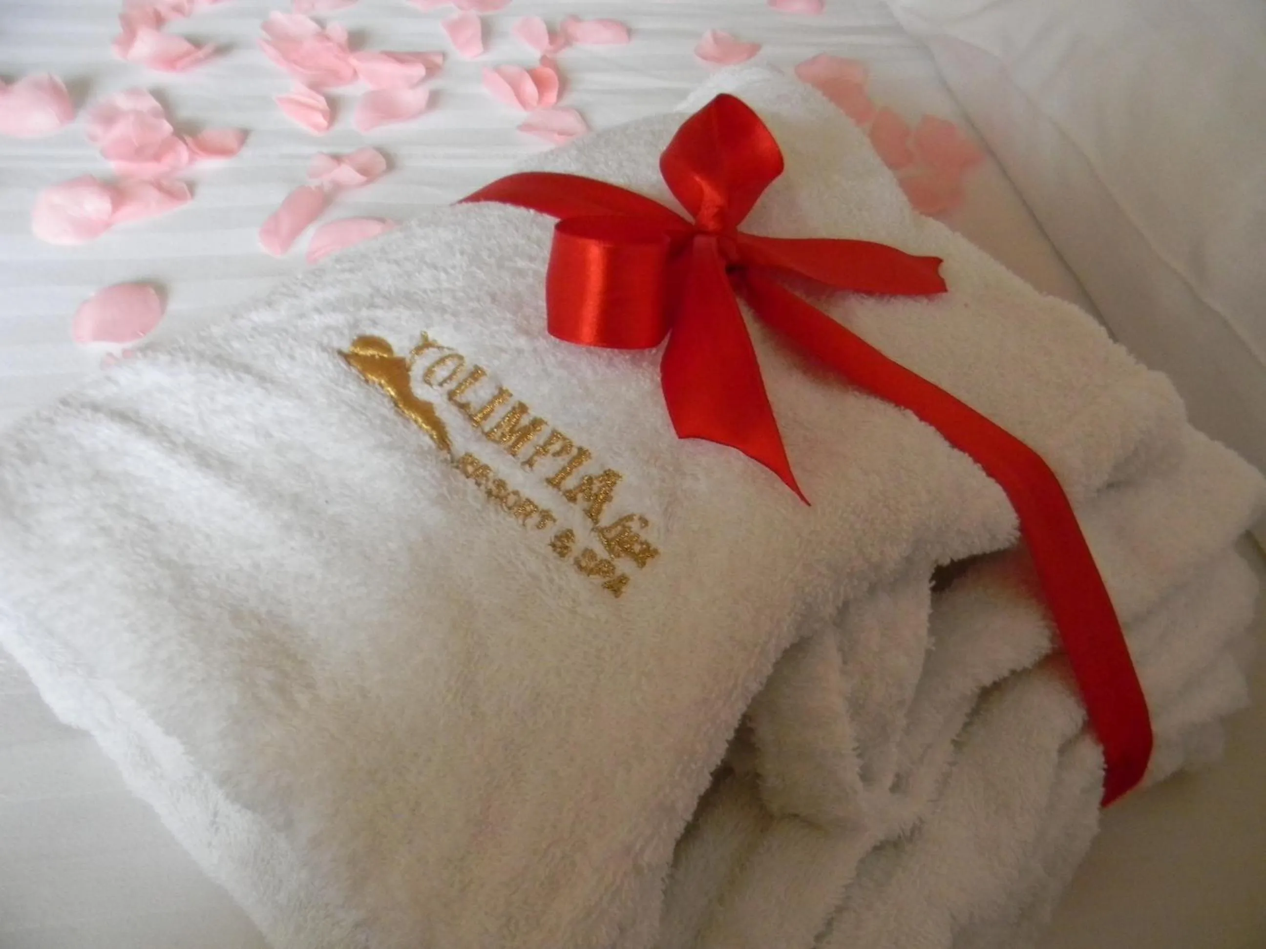 Decorative detail, Bed in Olimpia Resort & SPA