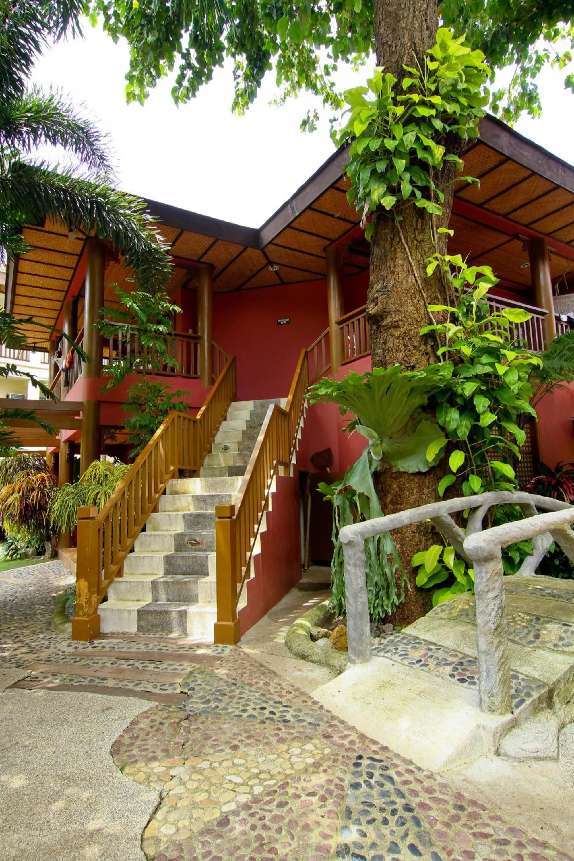 Other in Boracay Tropics Resort Hotel