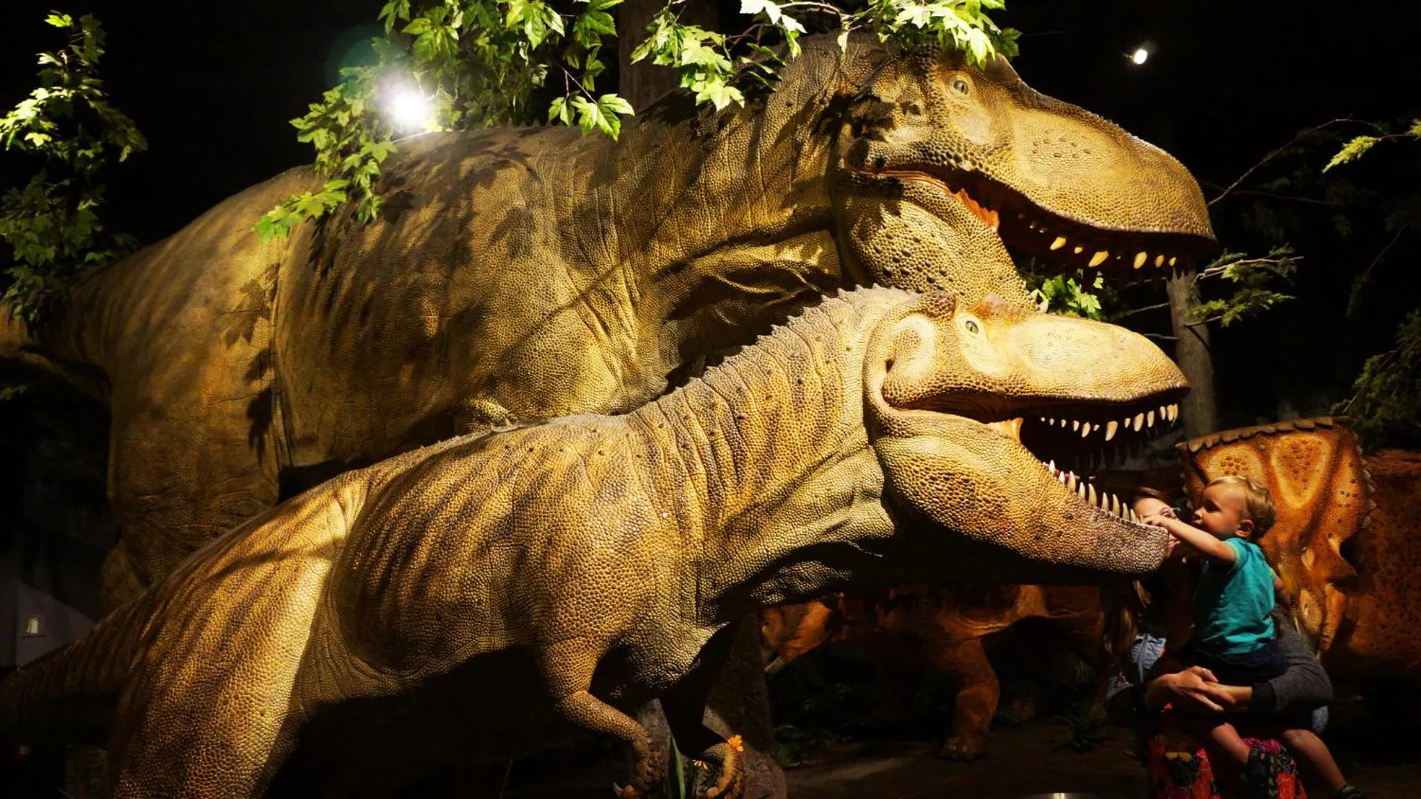 Nearby landmark in Holiday Inn & Suites Ottawa Kanata by IHG