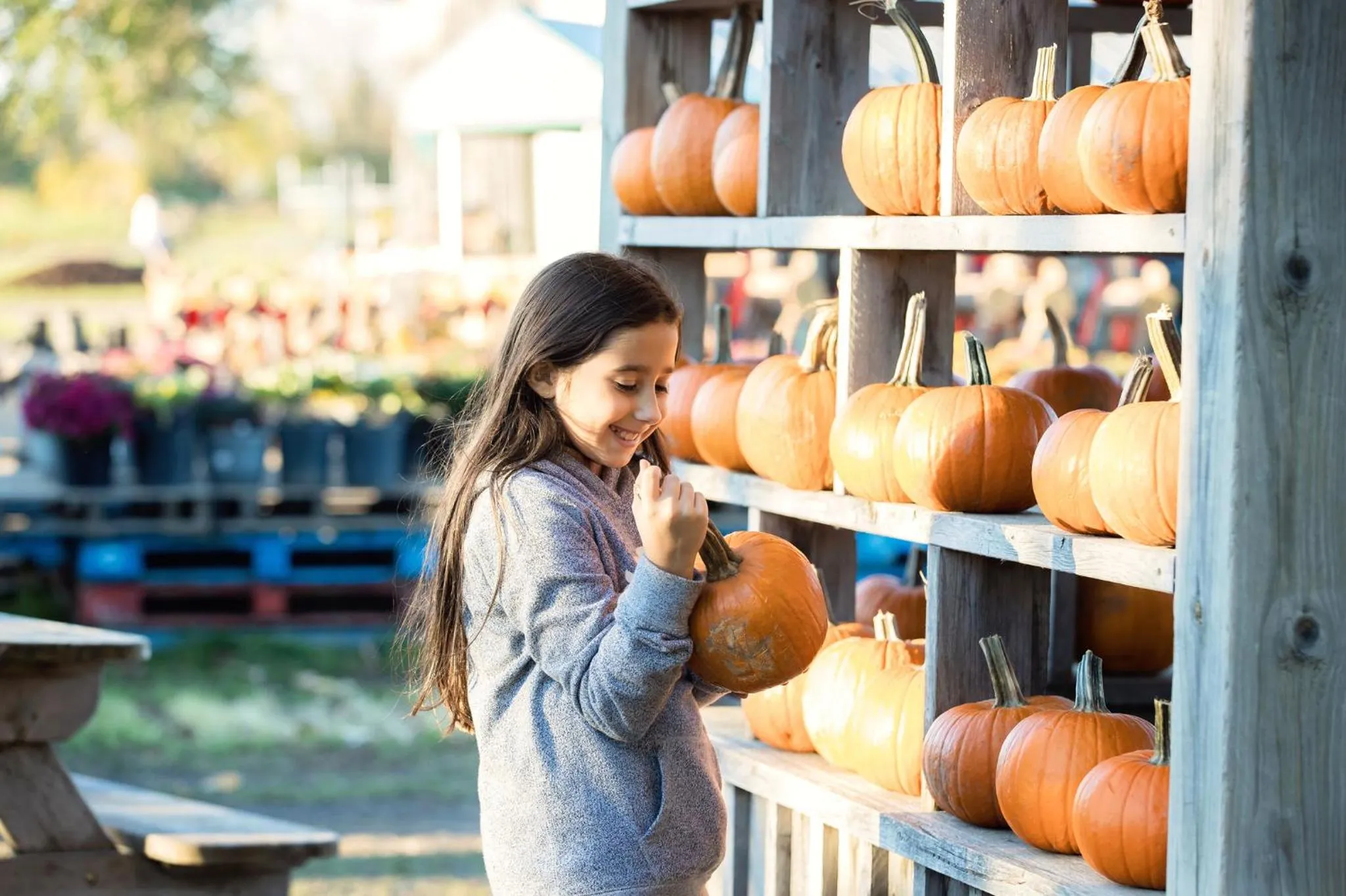 Nearby landmark in Holiday Inn & Suites Ottawa Kanata by IHG