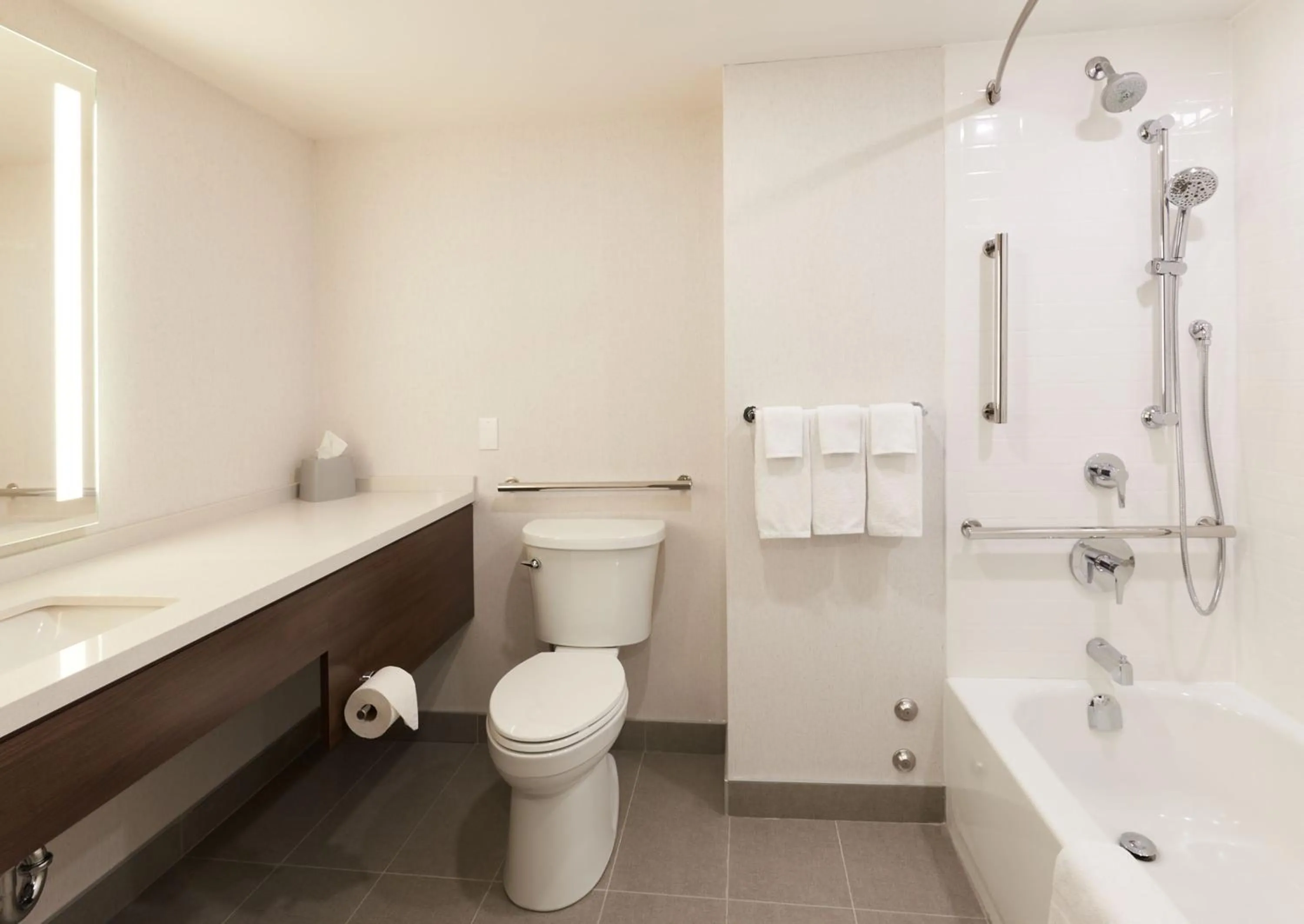 Bathroom in Holiday Inn & Suites Ottawa Kanata by IHG