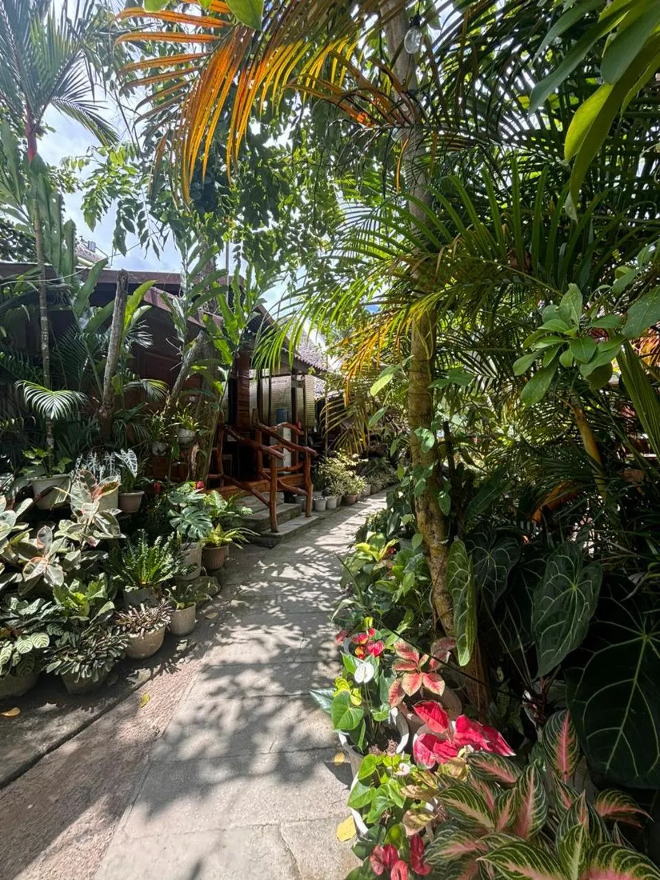 BING-VICE Tourist Inn