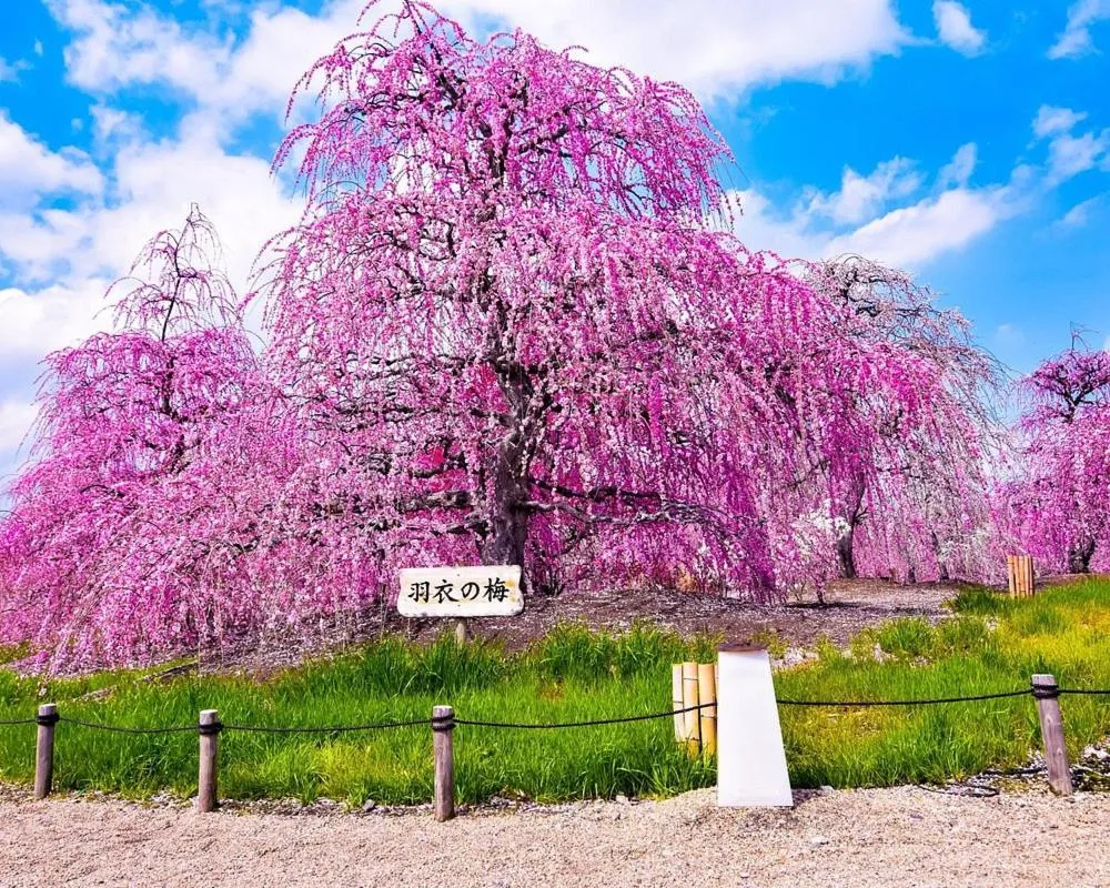 Nearby landmark in ホテル マリオン 鈴鹿