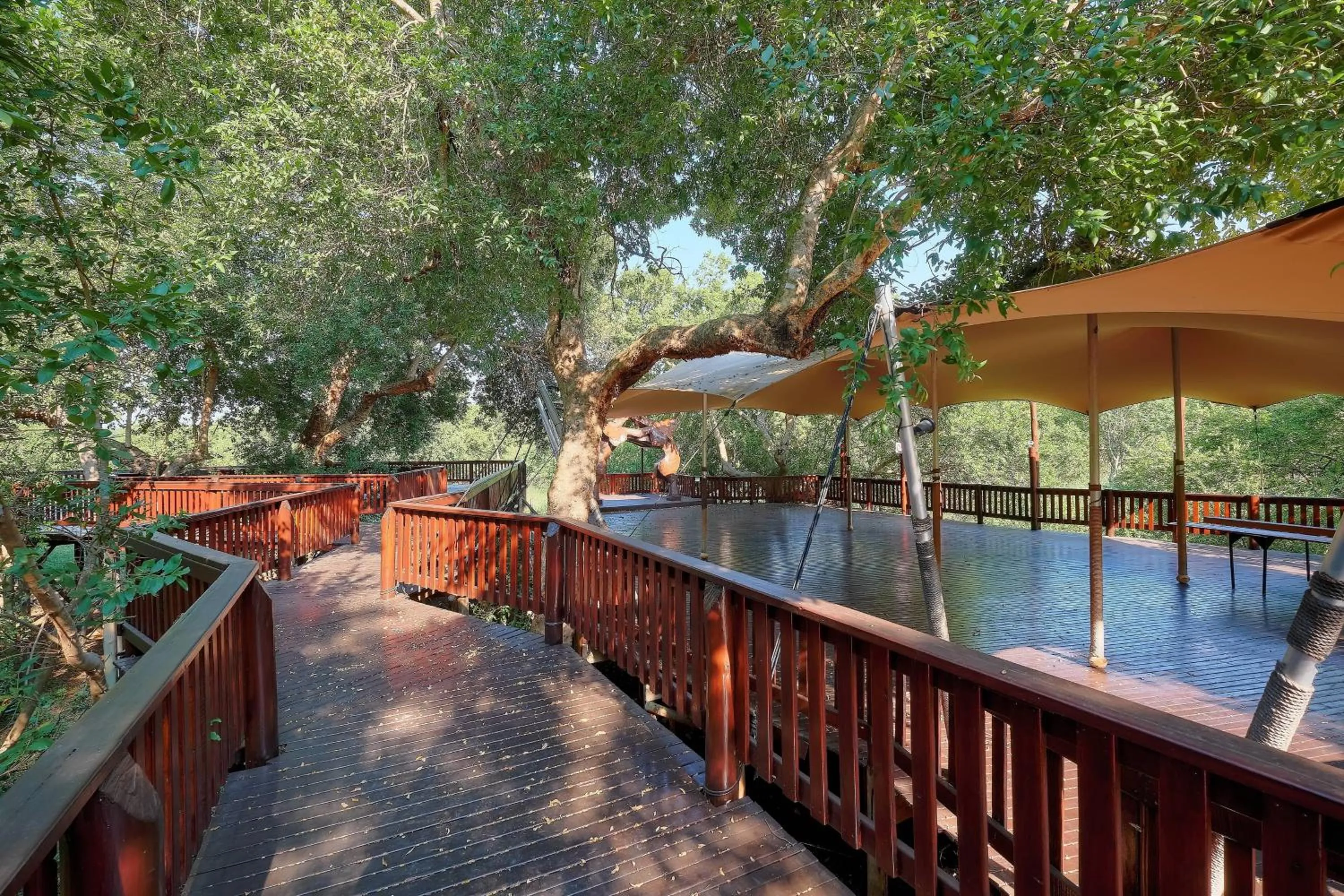 View (from property/room) in Protea Hotel by Marriott Polokwane Ranch Resort