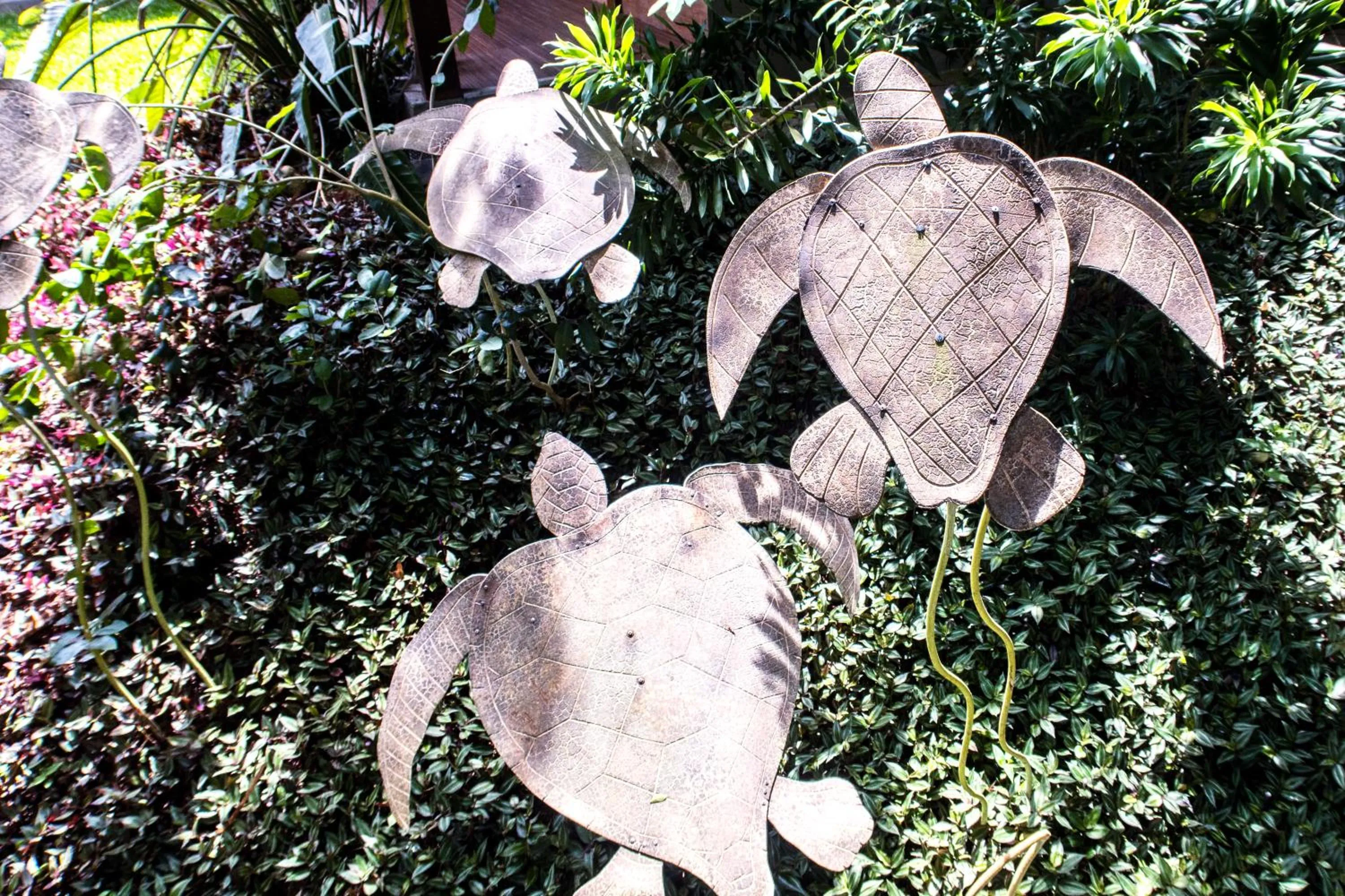 Garden in Pousada Aguas Claras