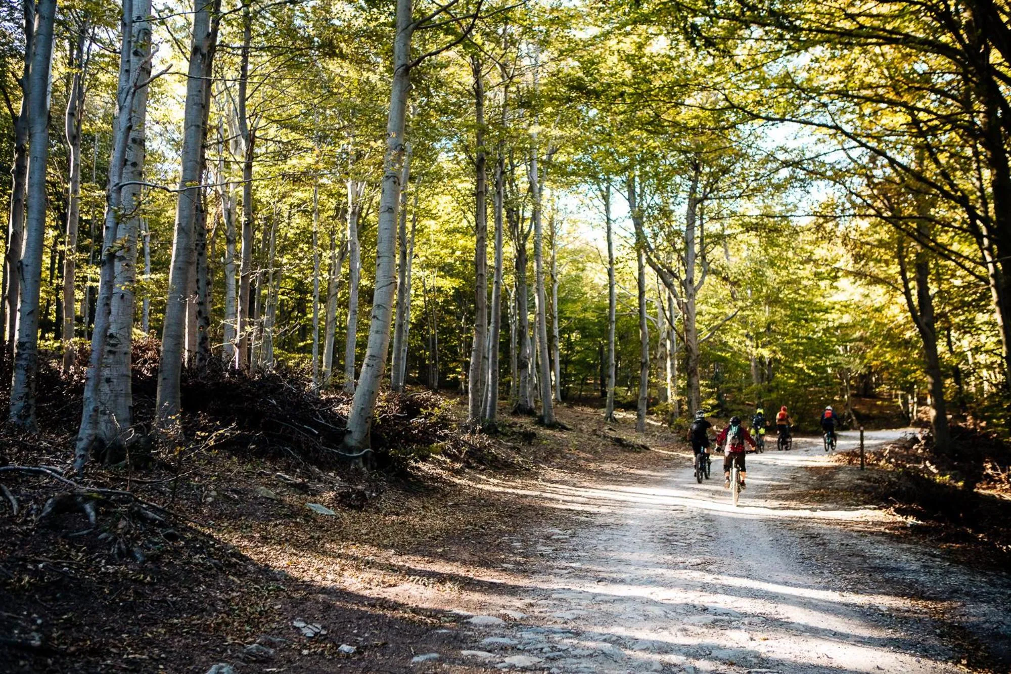Cycling in Residence Holidays