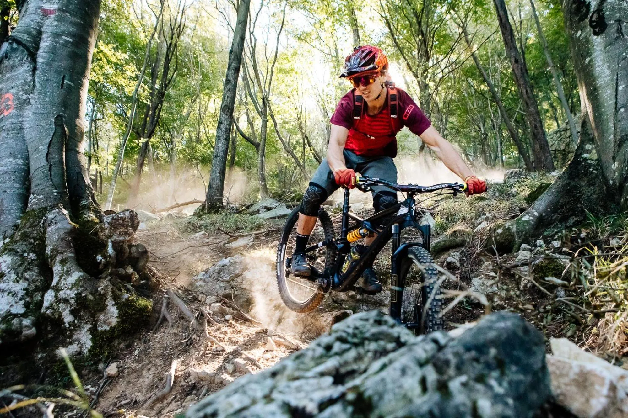 Cycling in Residence Holidays