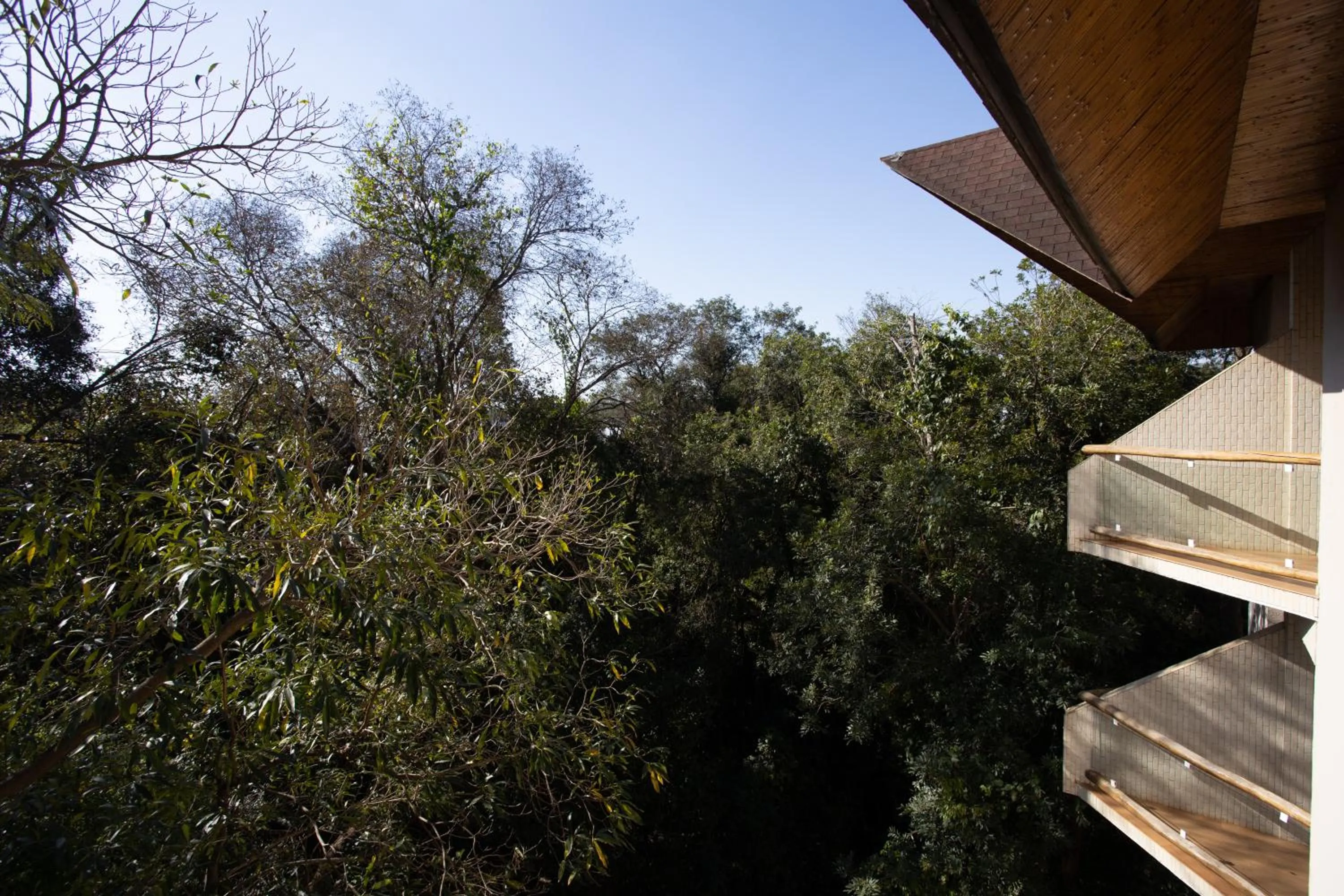 View (from property/room) in Recanto Cataratas - Thermas, Resort e Convention