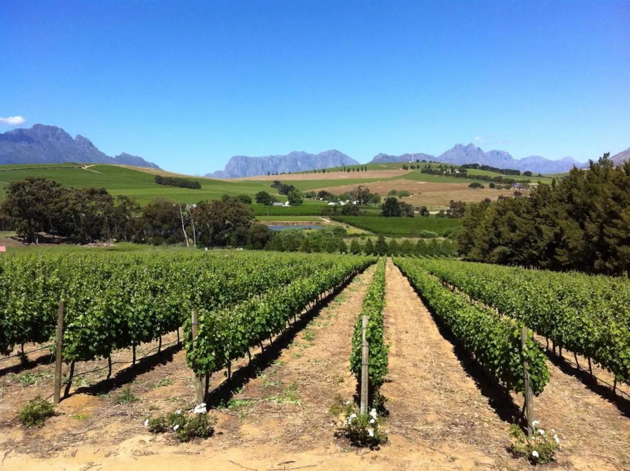 Neighbourhood in A Smart Stay Apartments