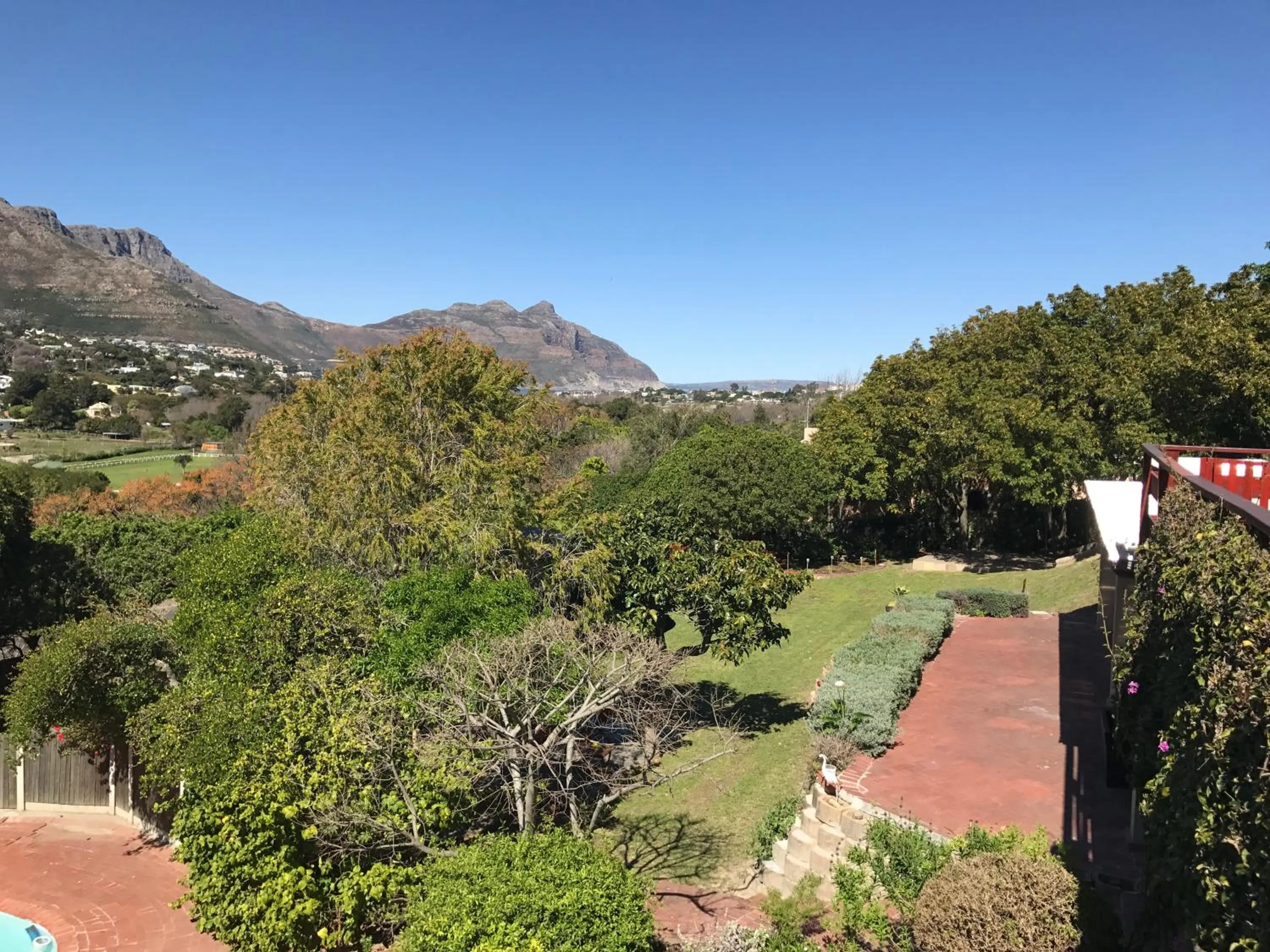 Garden view in The Salt House Guest House in Hout Bay