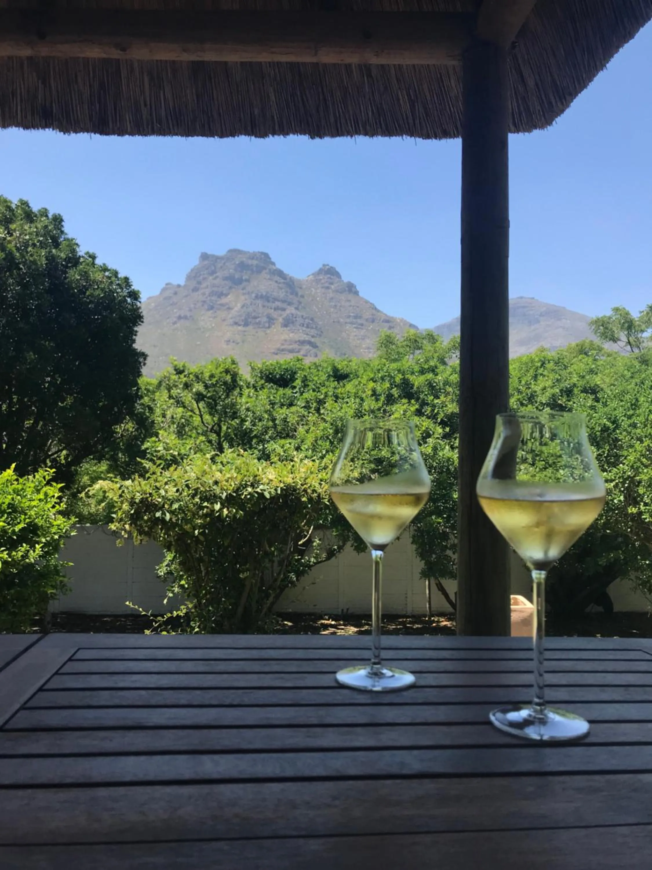 Garden in The Salt House Guest House in Hout Bay