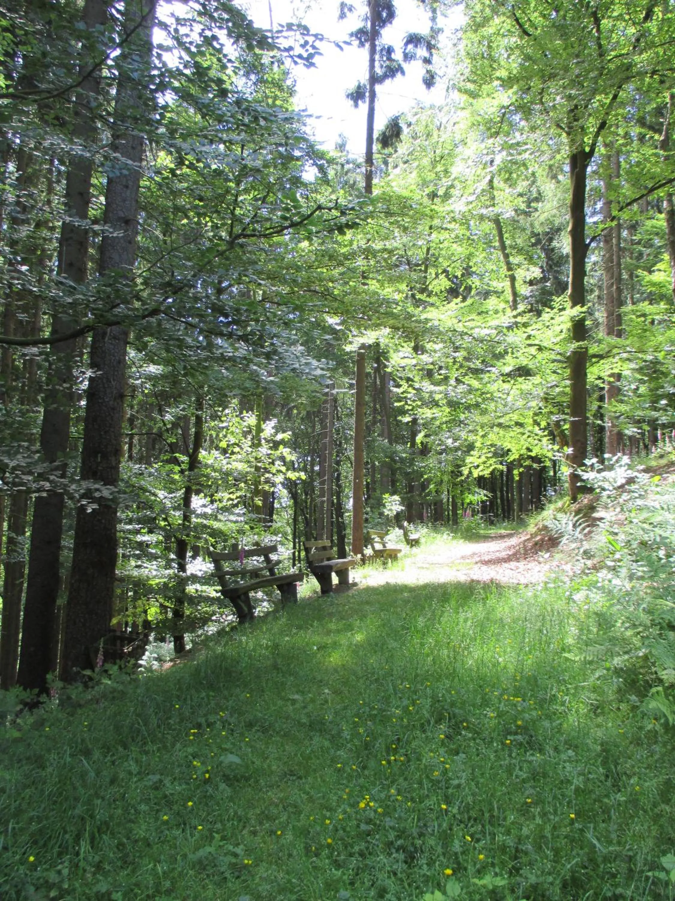 Area and facilities in Panorama Hotel