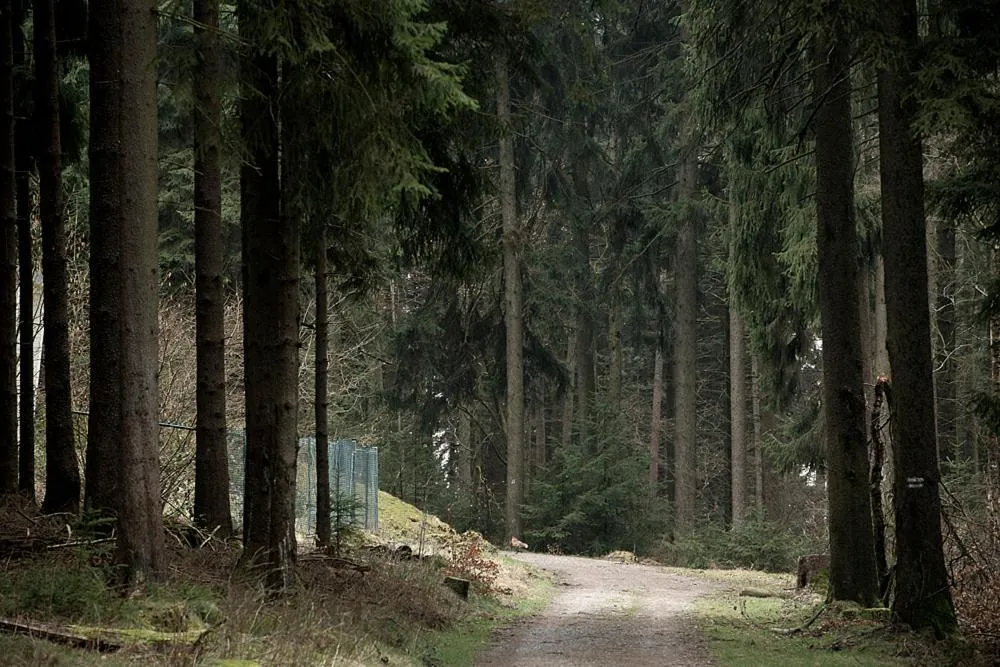 Hiking in Panorama Hotel