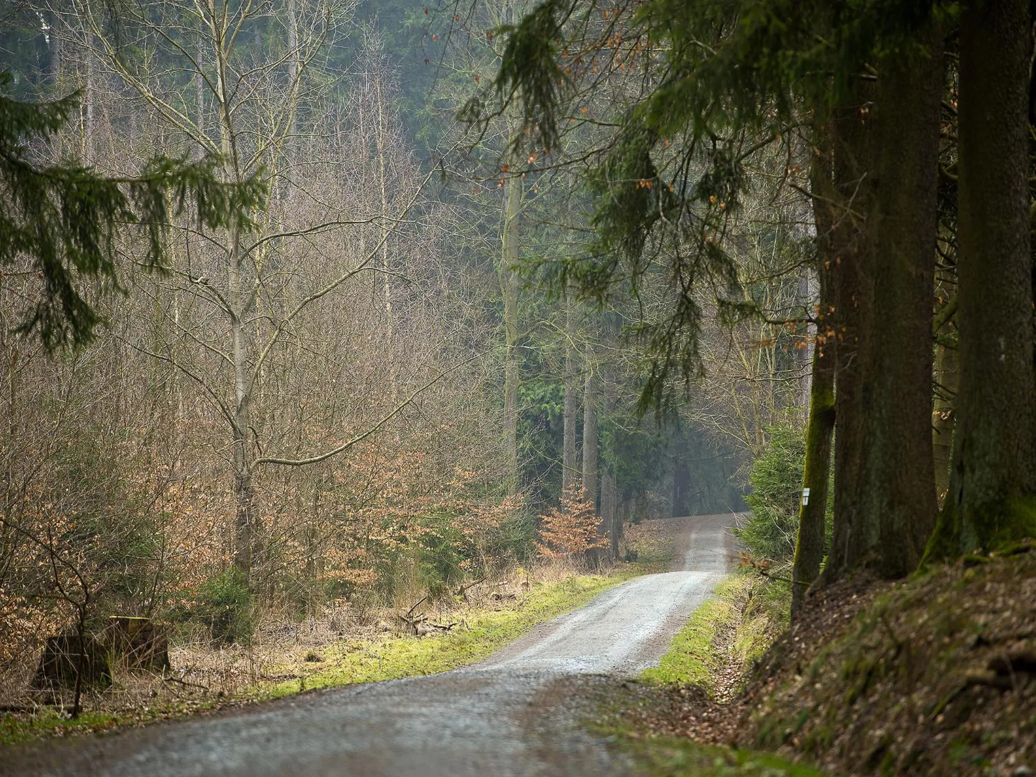 Area and facilities in Panorama Hotel