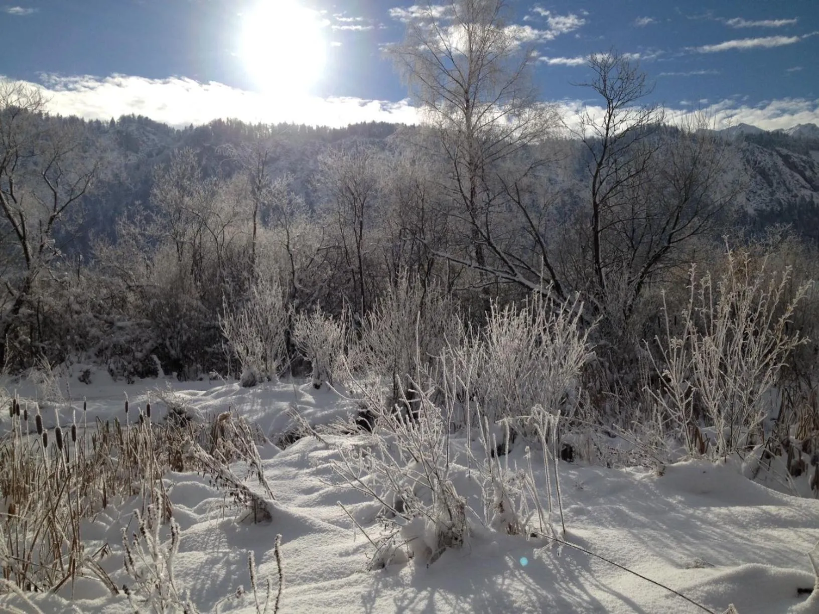 Winter in Golf- und Sporthotel Moarhof
