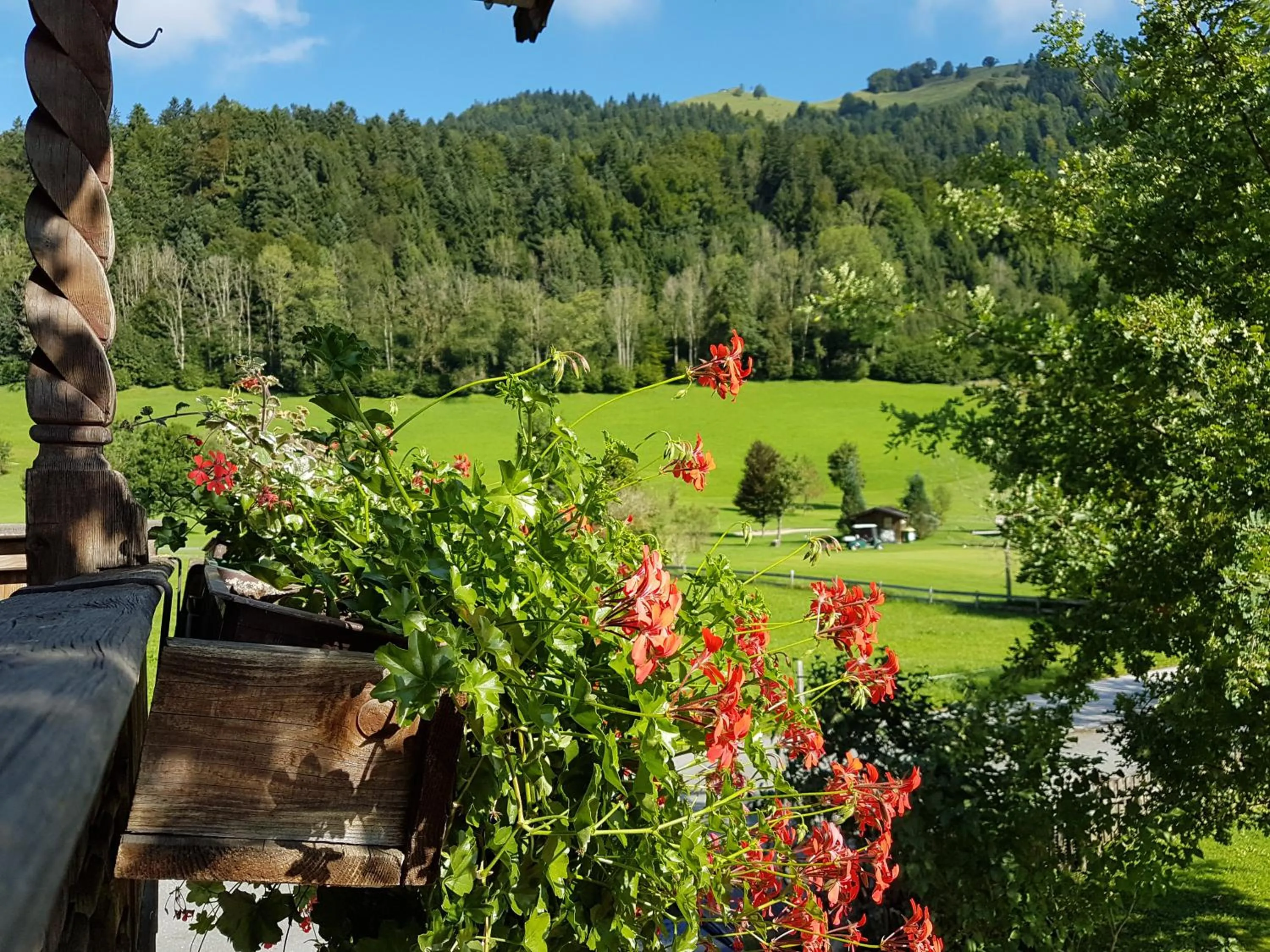 Golfcourse in Golf- und Sporthotel Moarhof