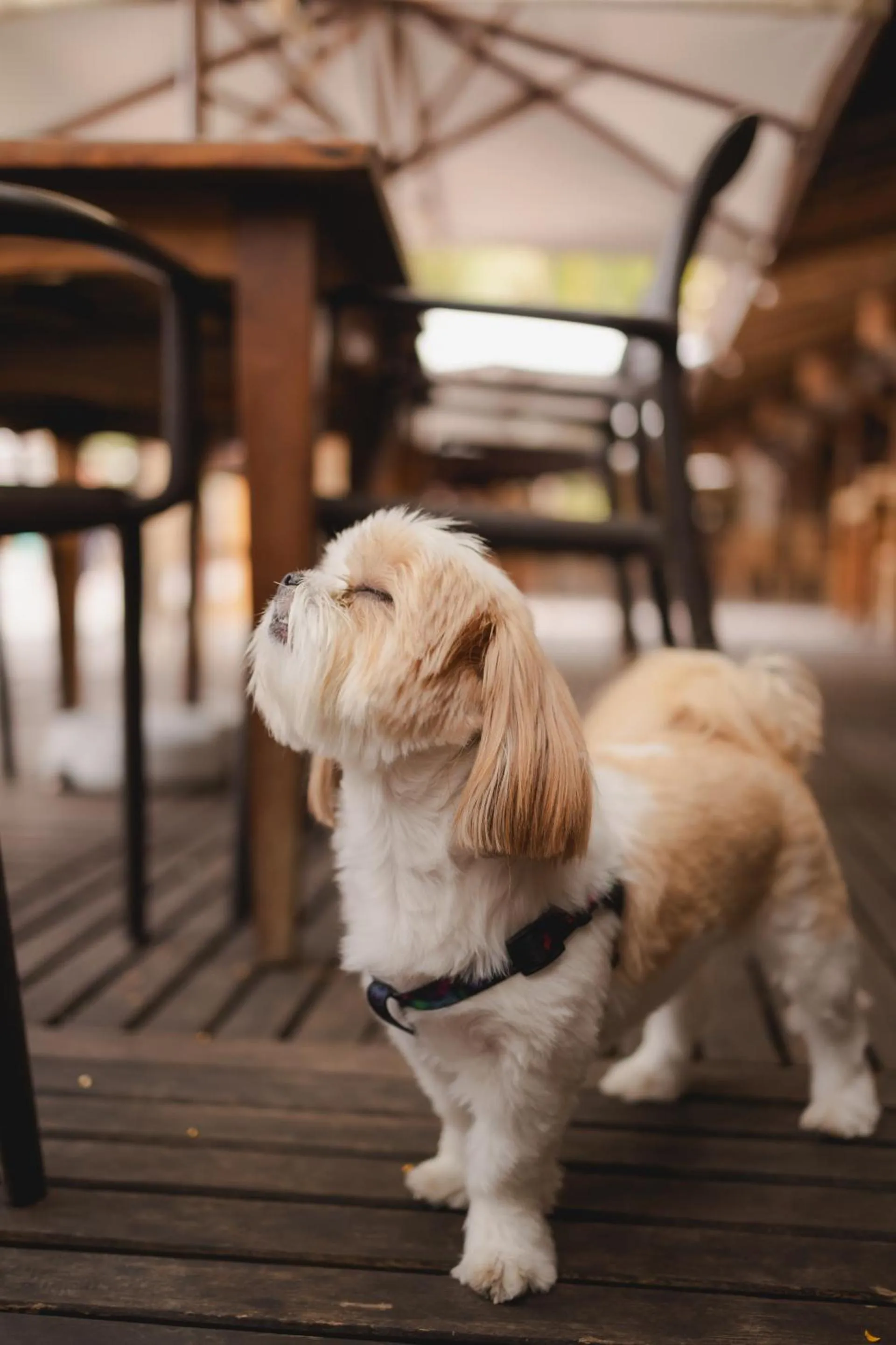 Sobrado da Vila Hotel