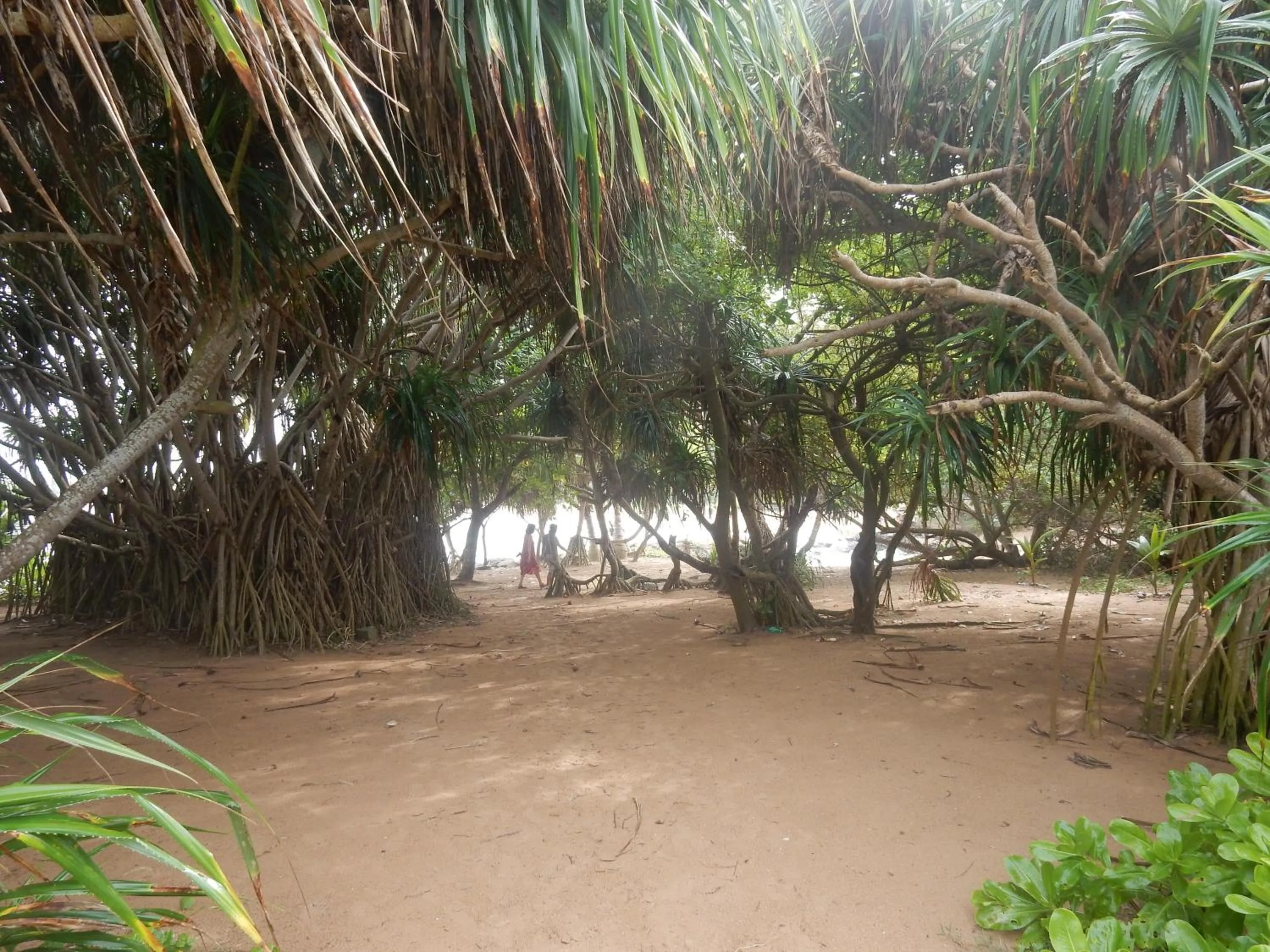 Beach in Sisanda Residence