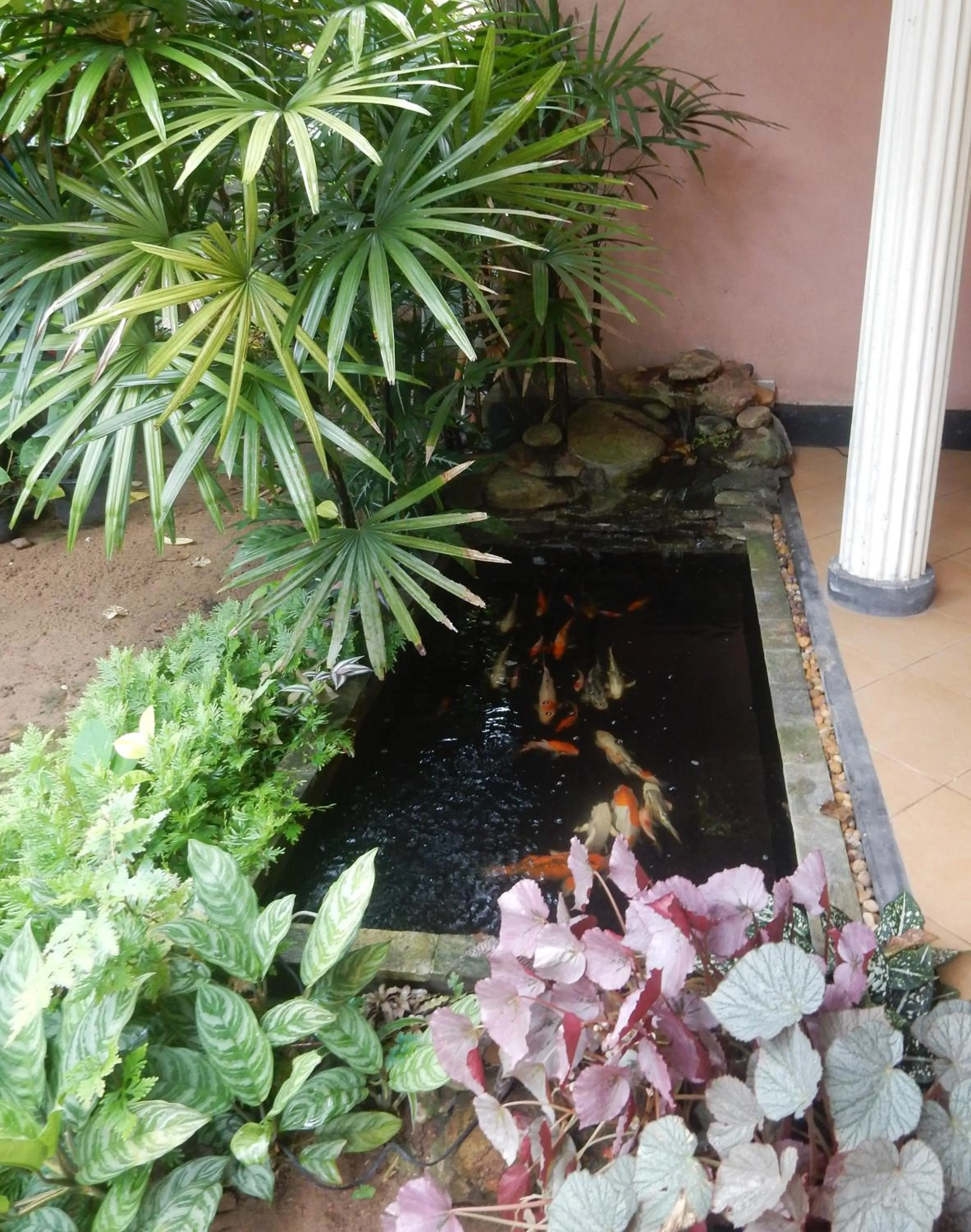 Garden in Sisanda Residence