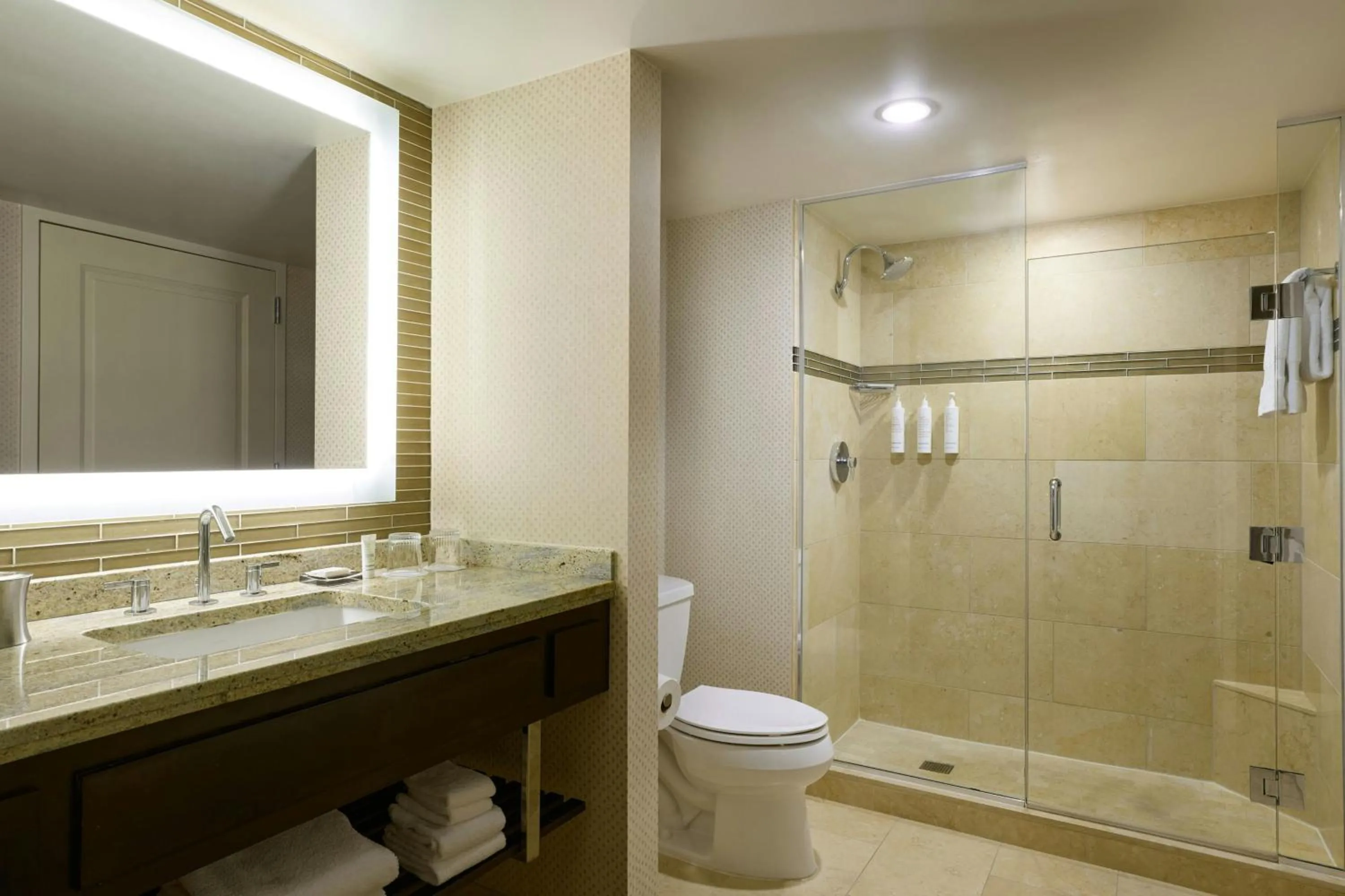 Bathroom in Marriott Chicago O’Hare