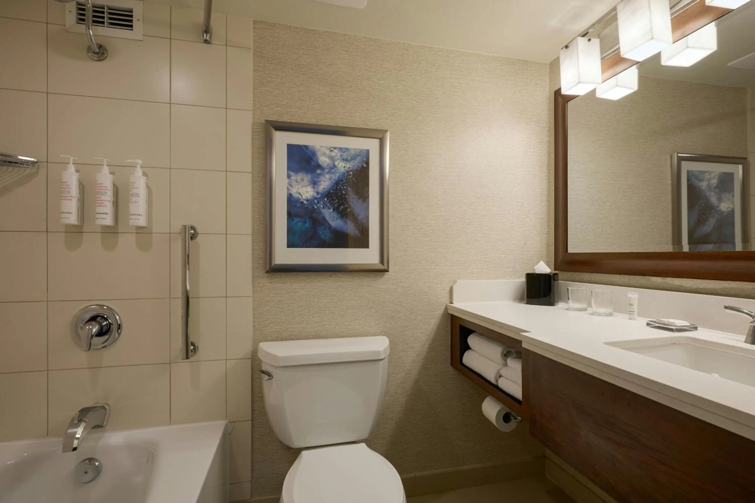 Bathroom in Marriott Chicago O’Hare