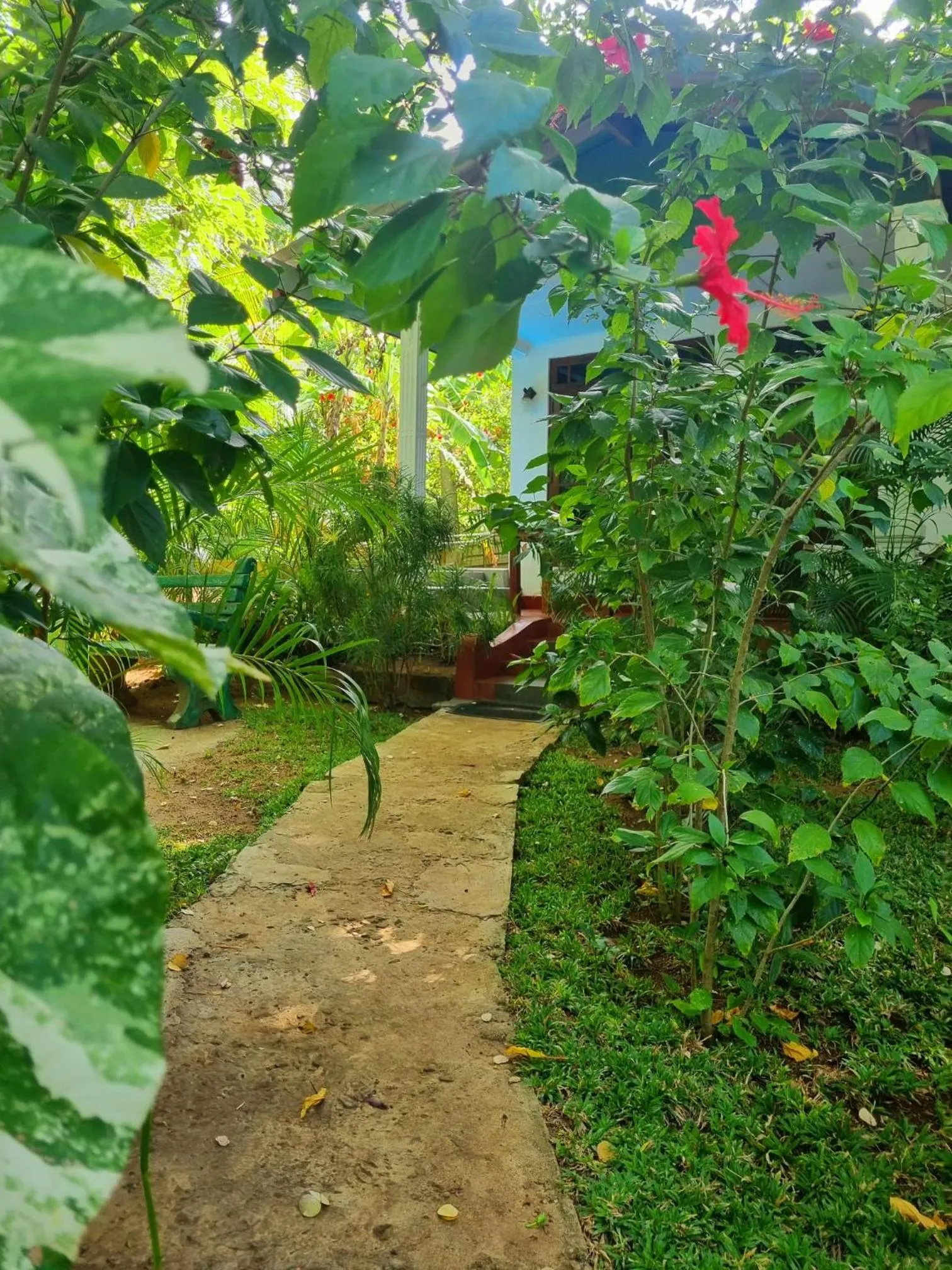 Natural landscape in Sunrise Cottage