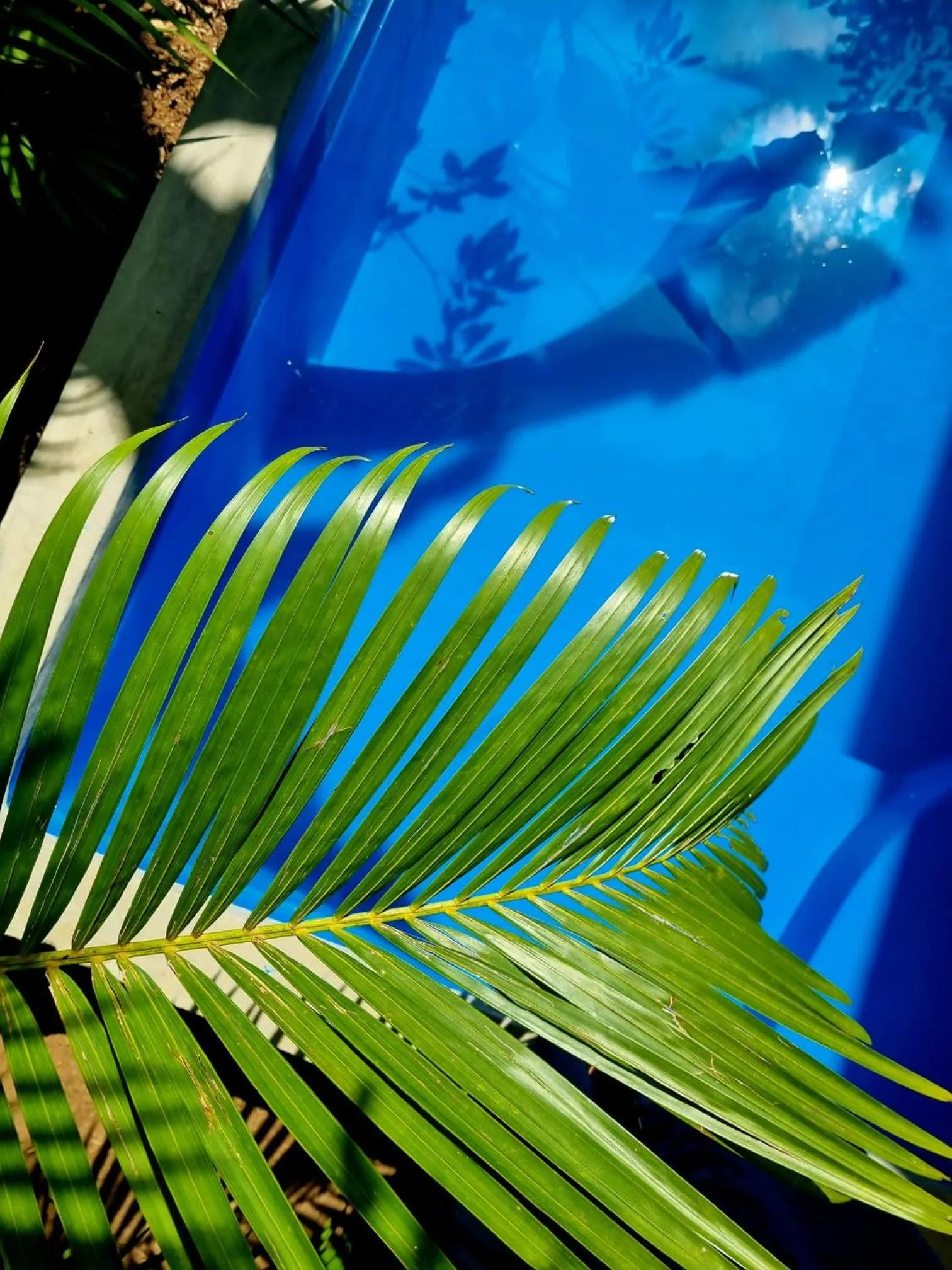 Swimming pool in Sunrise Cottage
