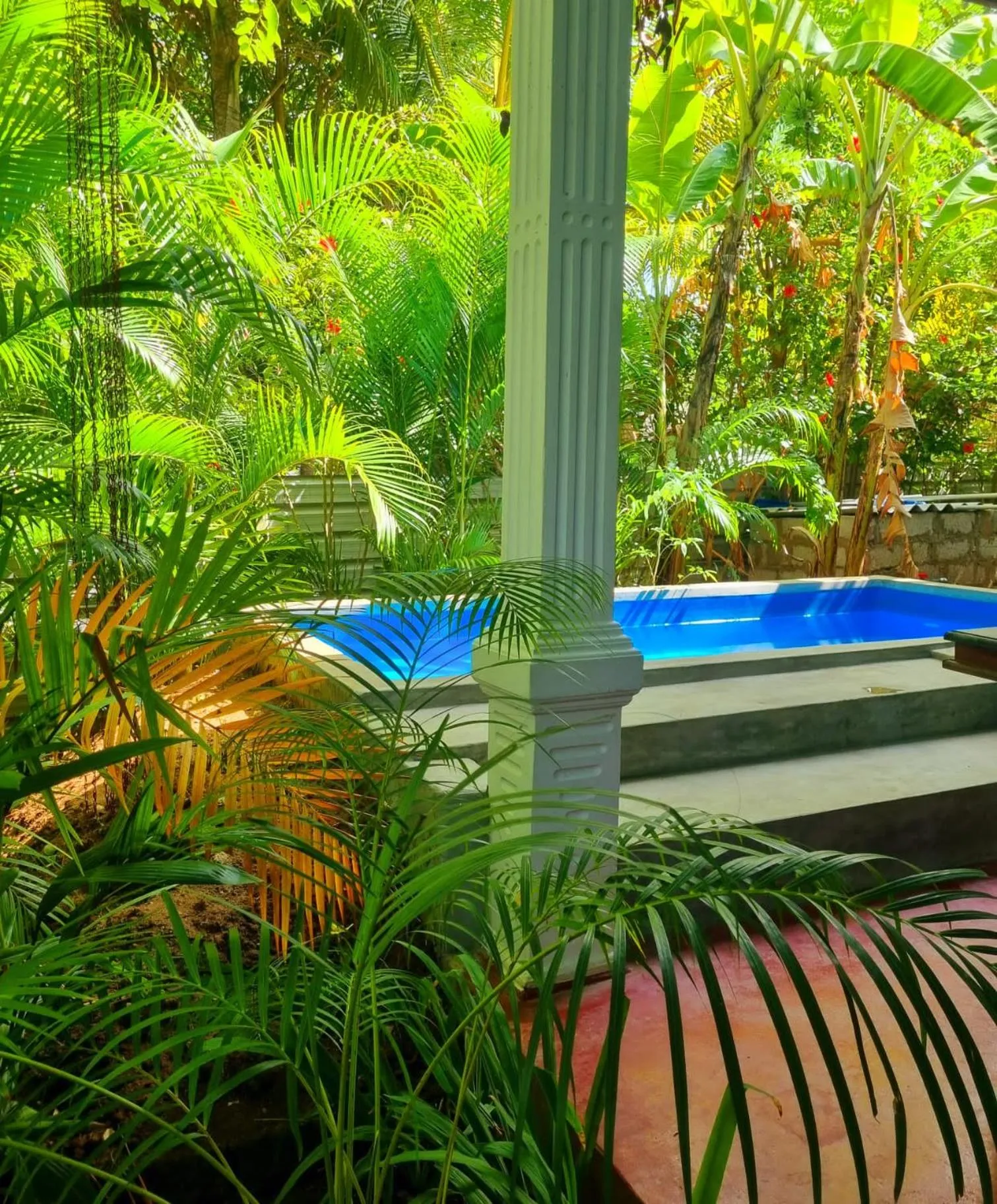 Natural landscape in Sunrise Cottage