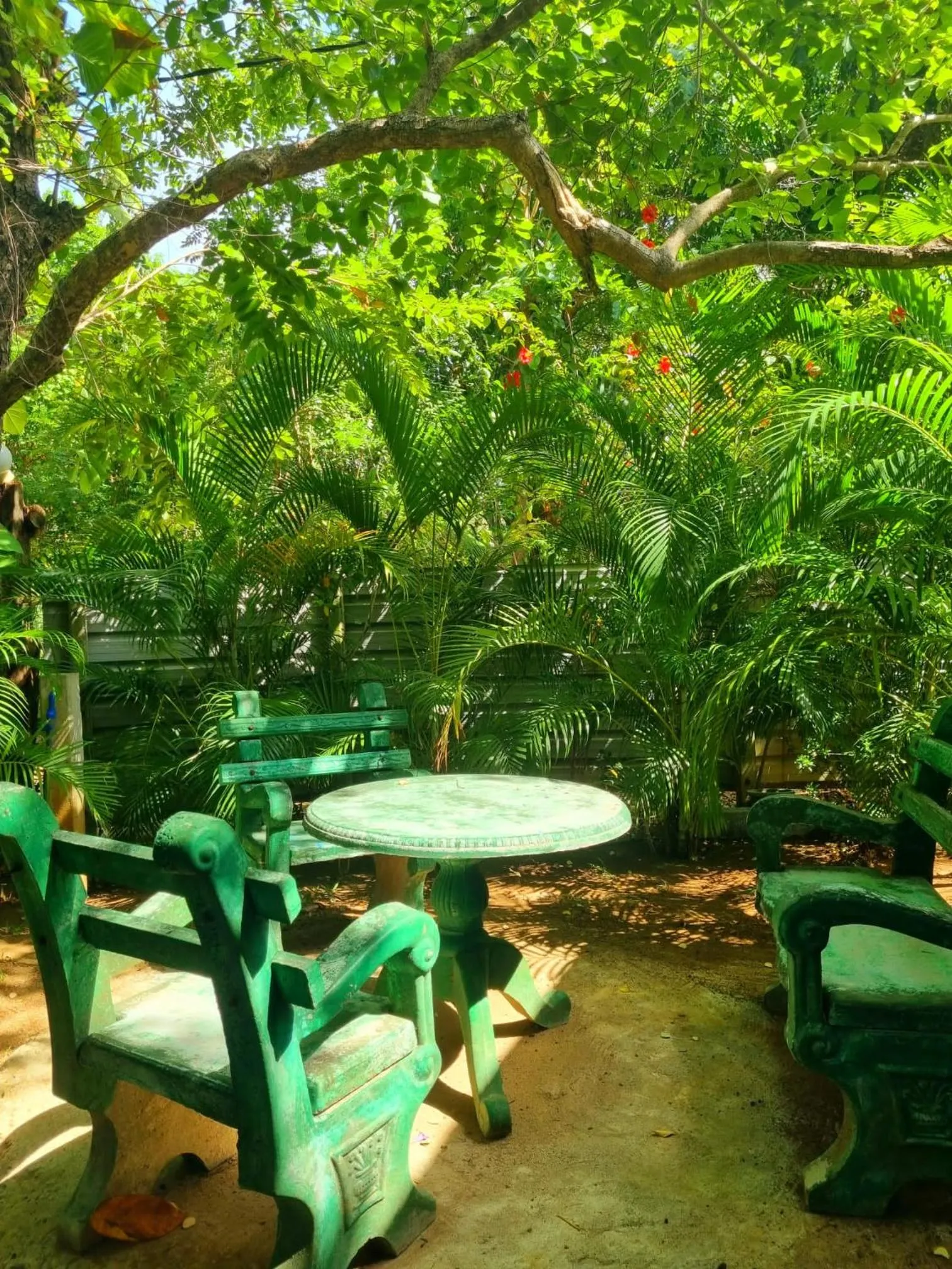 Garden in Sunrise Cottage