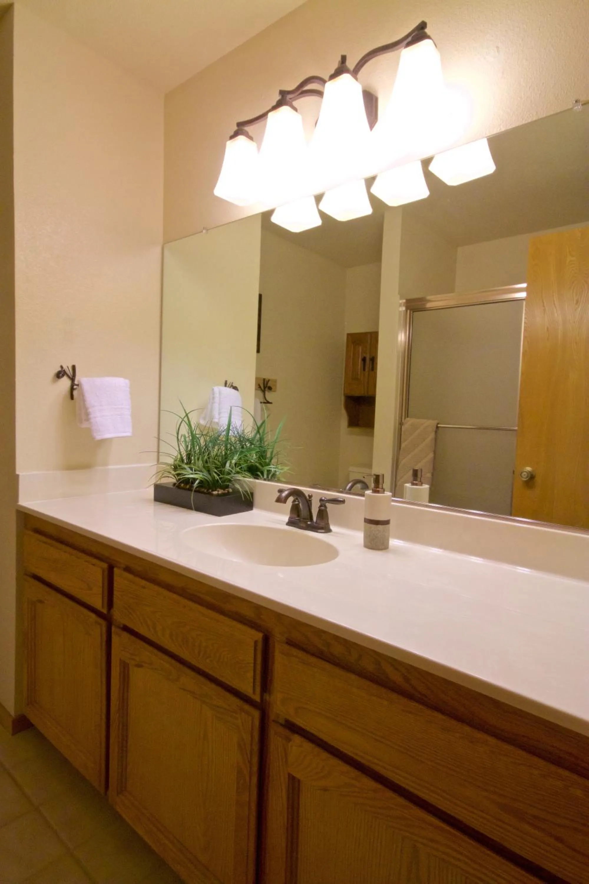 Bathroom in Mountain View Playhouse Near Yosemite & Bass Lake