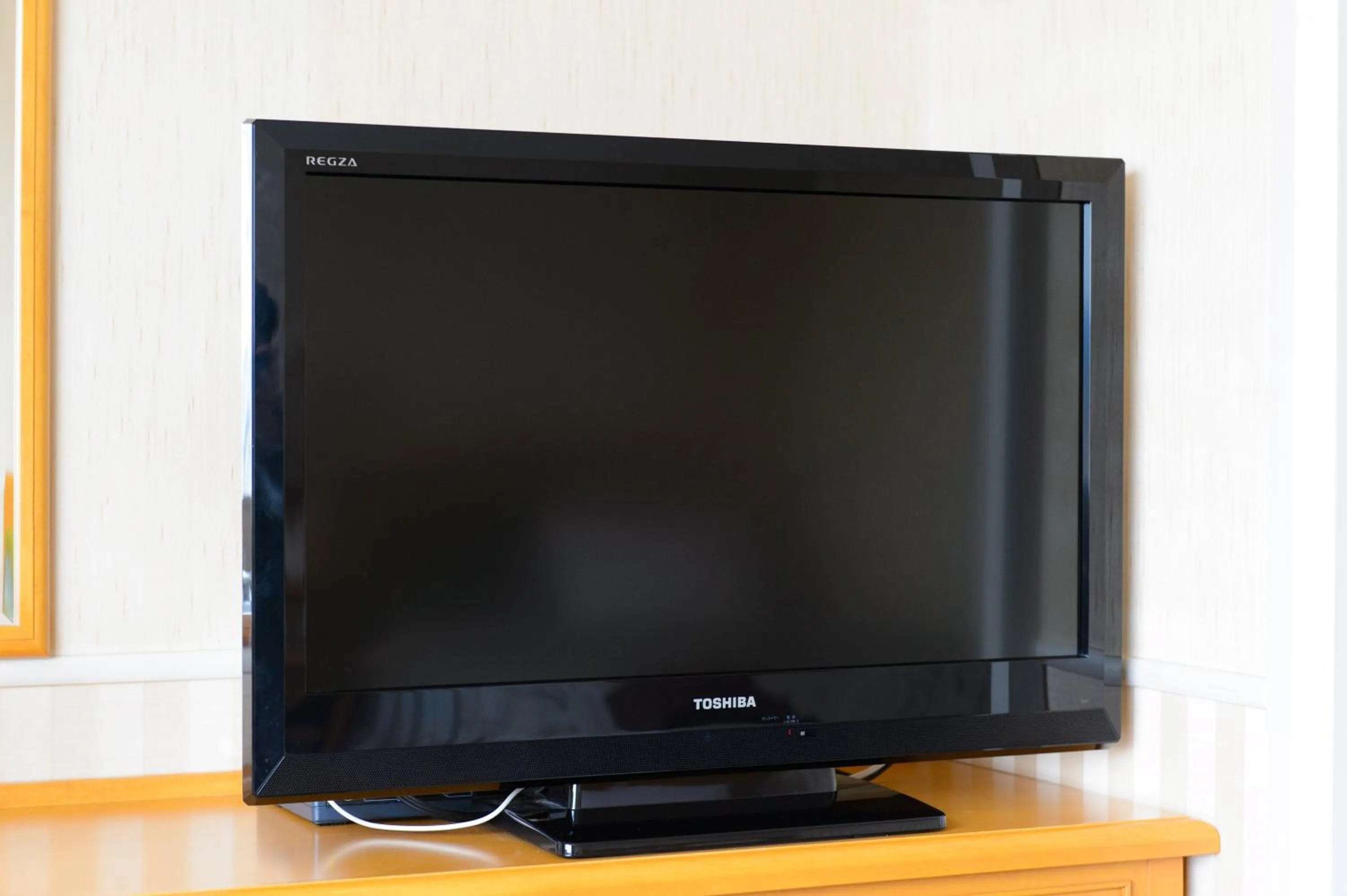 TV and multimedia in Hotel Grand Plaza Urashima