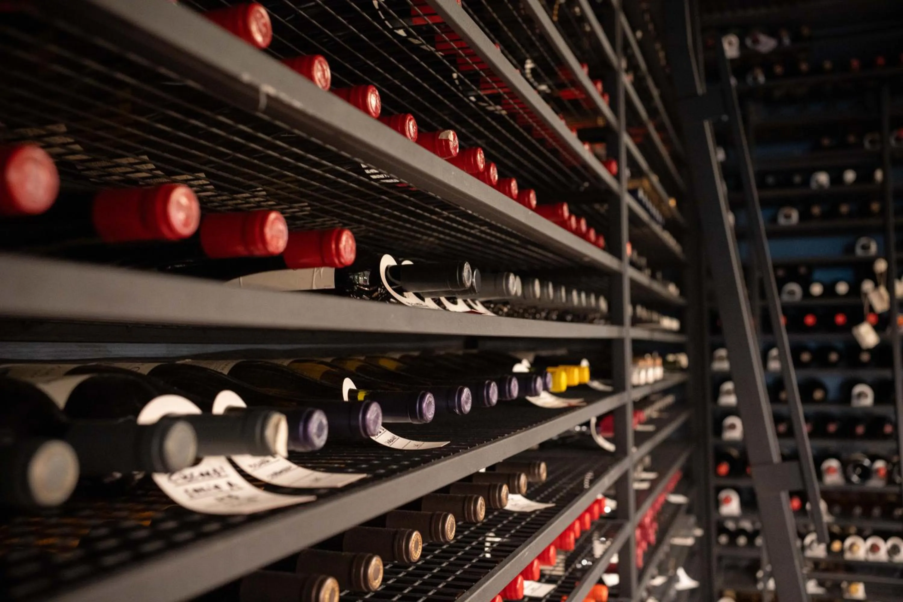 Area and facilities in Fierro Hotel Buenos Aires