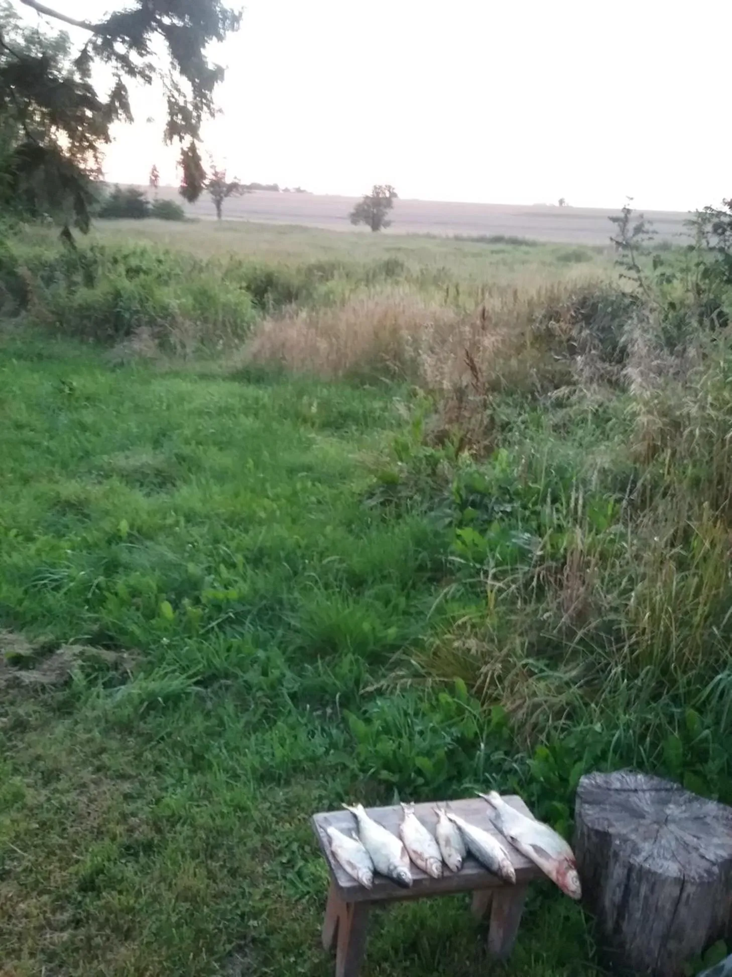 Natural landscape in Dworek Natury