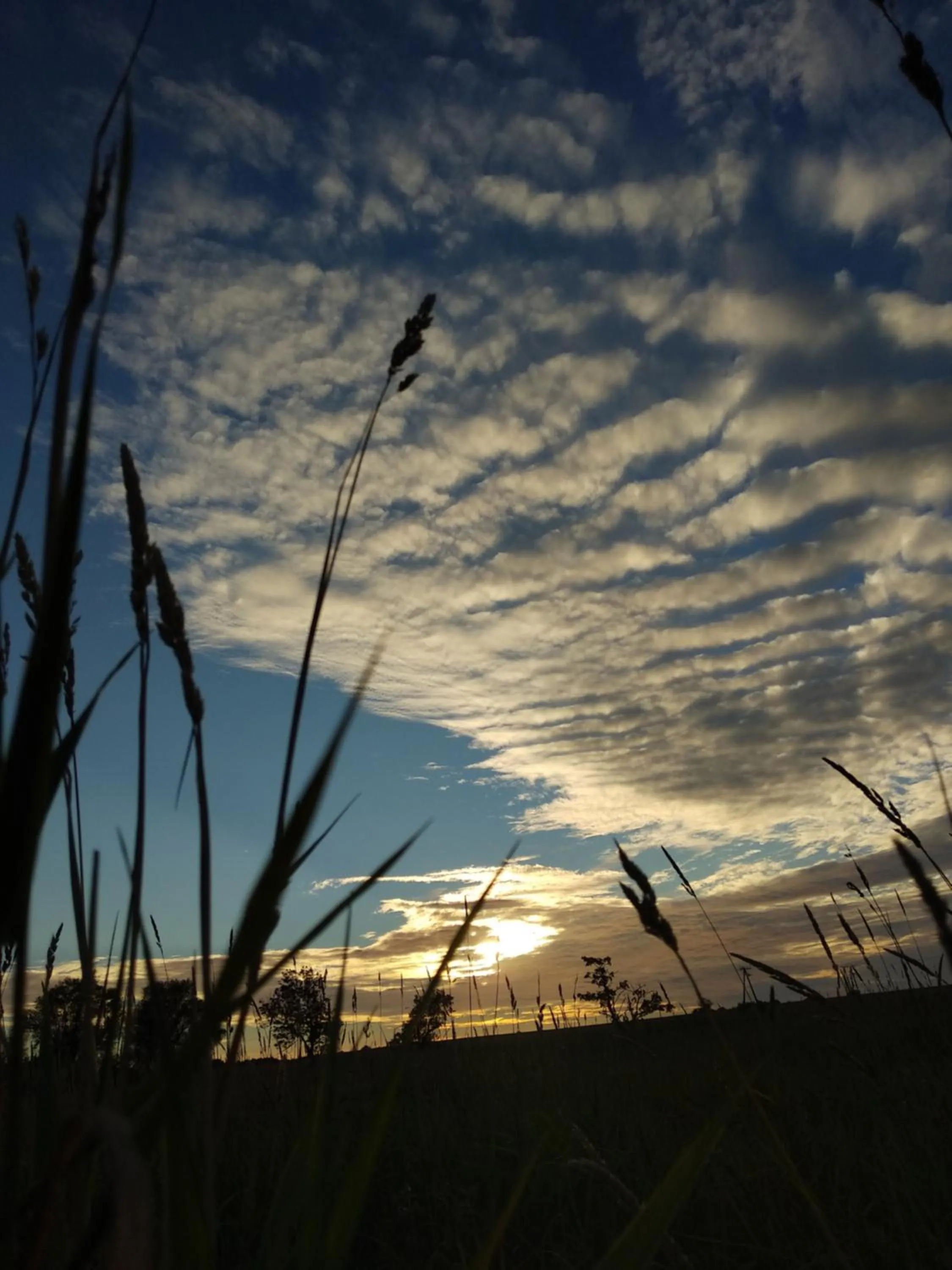 Sunset in Dworek Natury