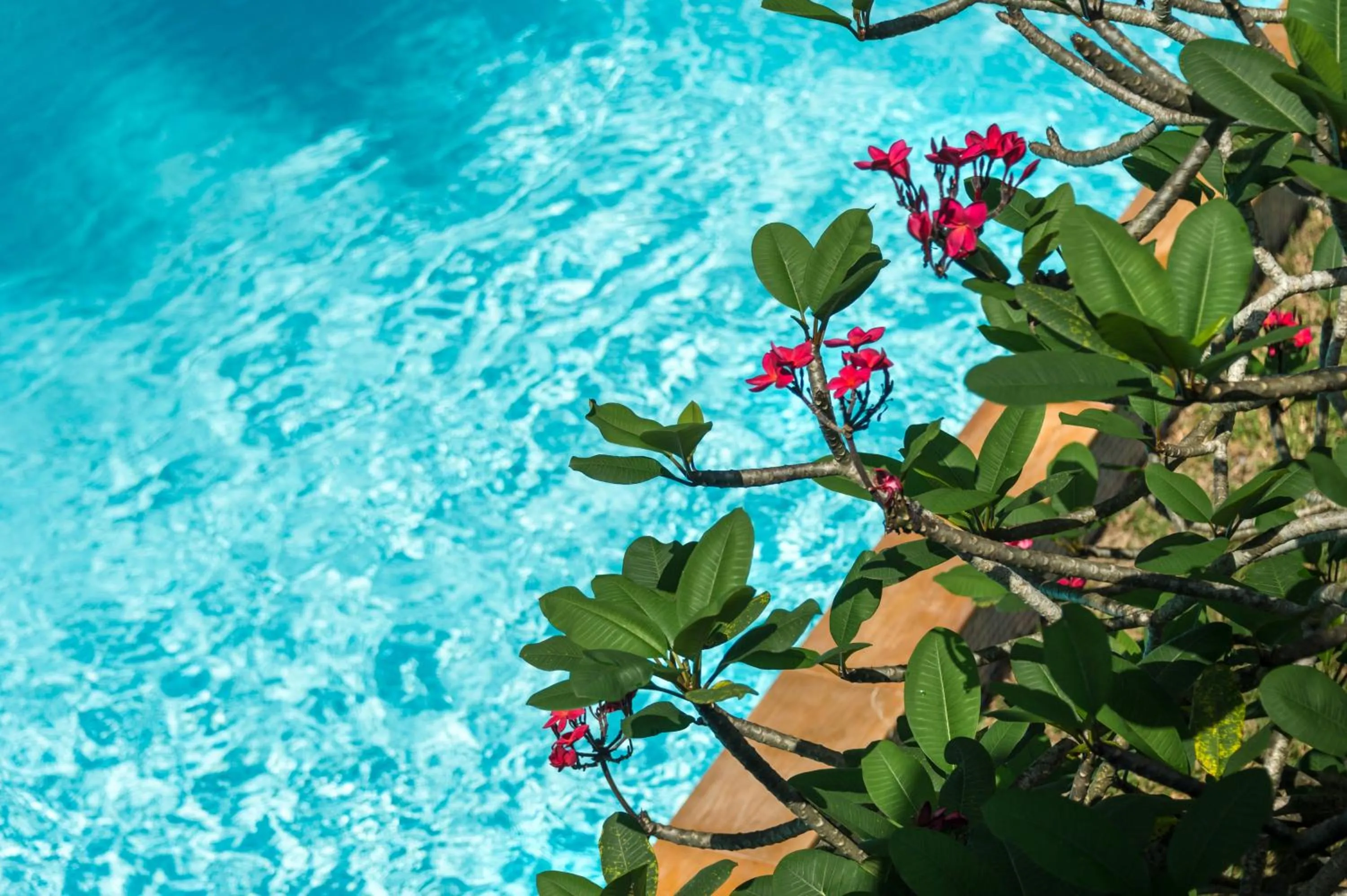 Lanta Thip House by Swiss-Belhotel