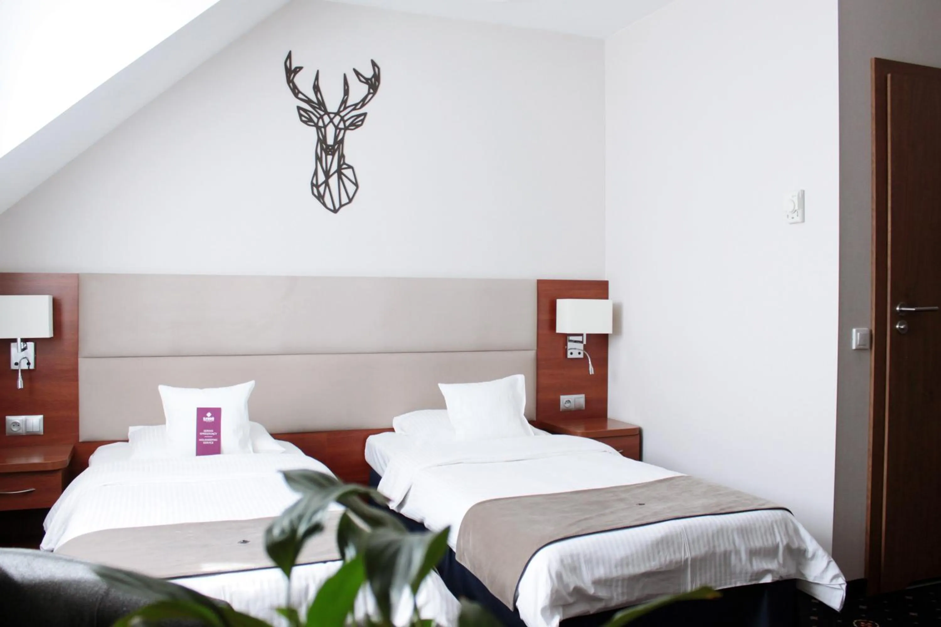 Bed in ParkHotel Łysoń