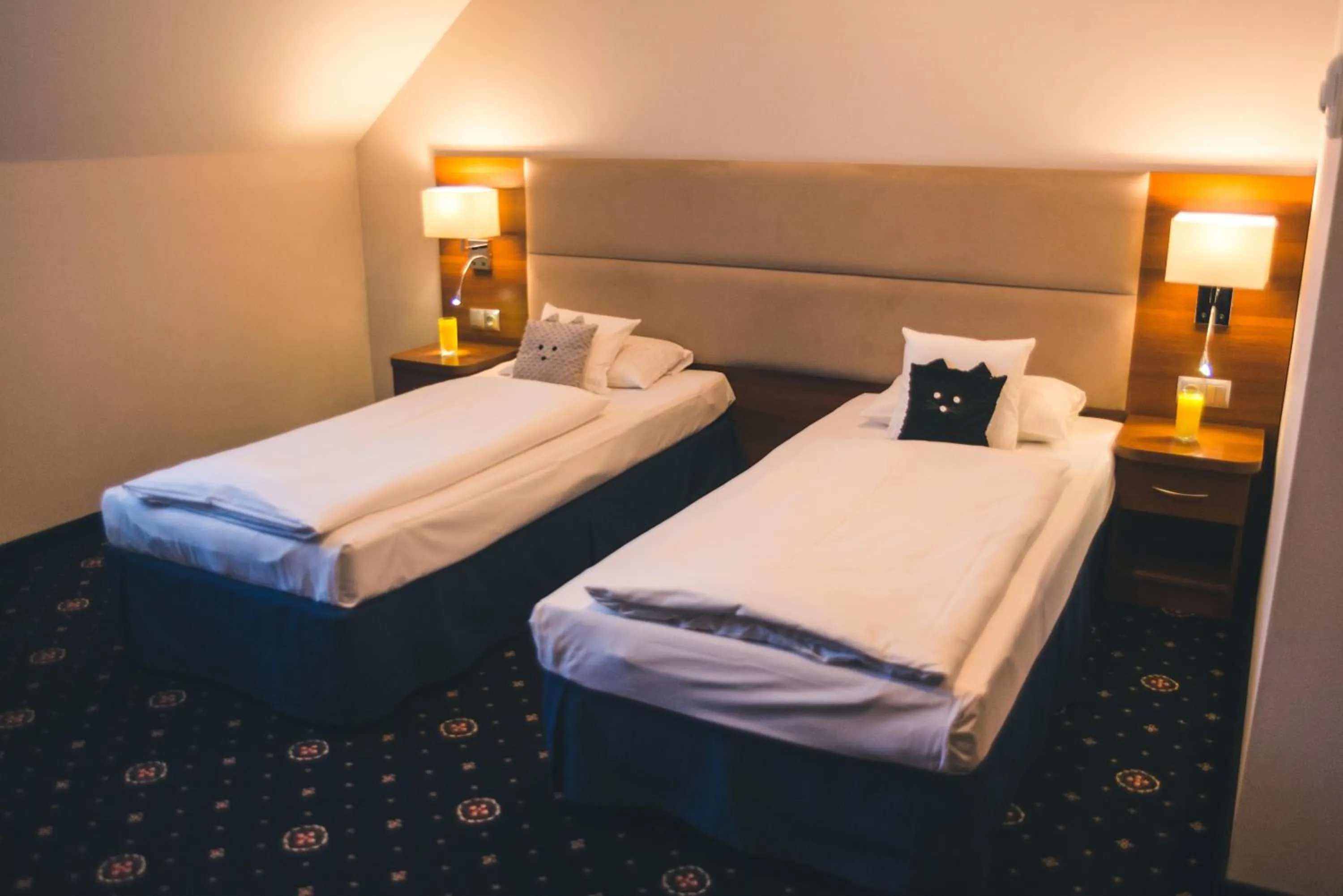 Bed in ParkHotel Łysoń