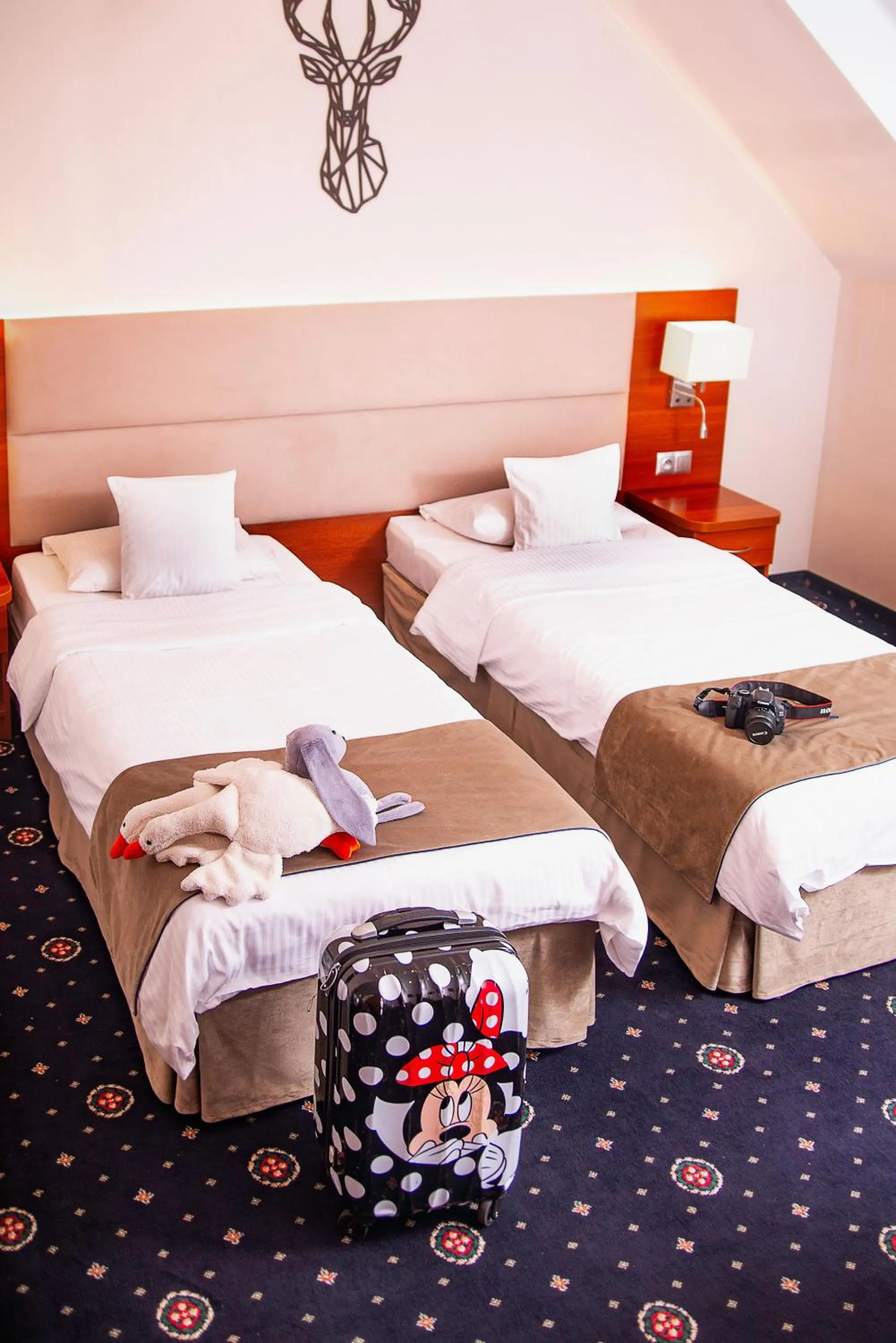 Bed in ParkHotel Łysoń