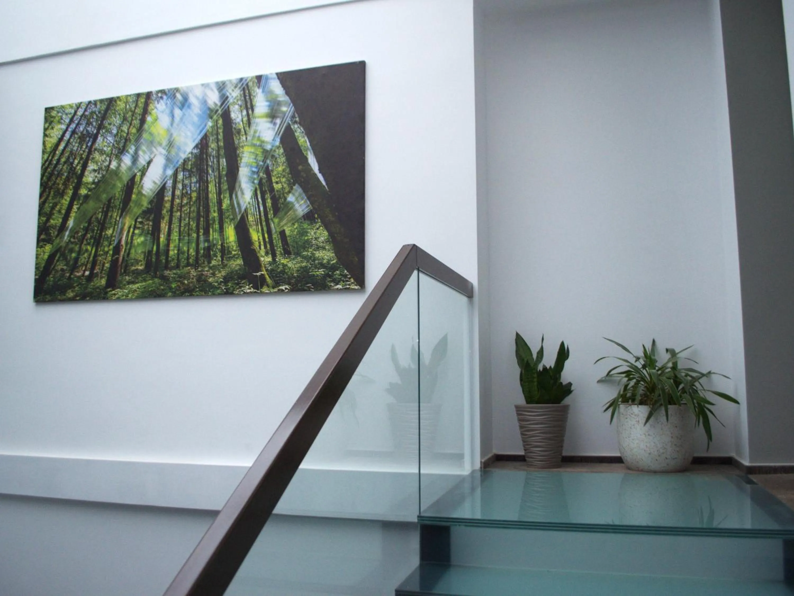 Lobby or reception in Hotel EMD