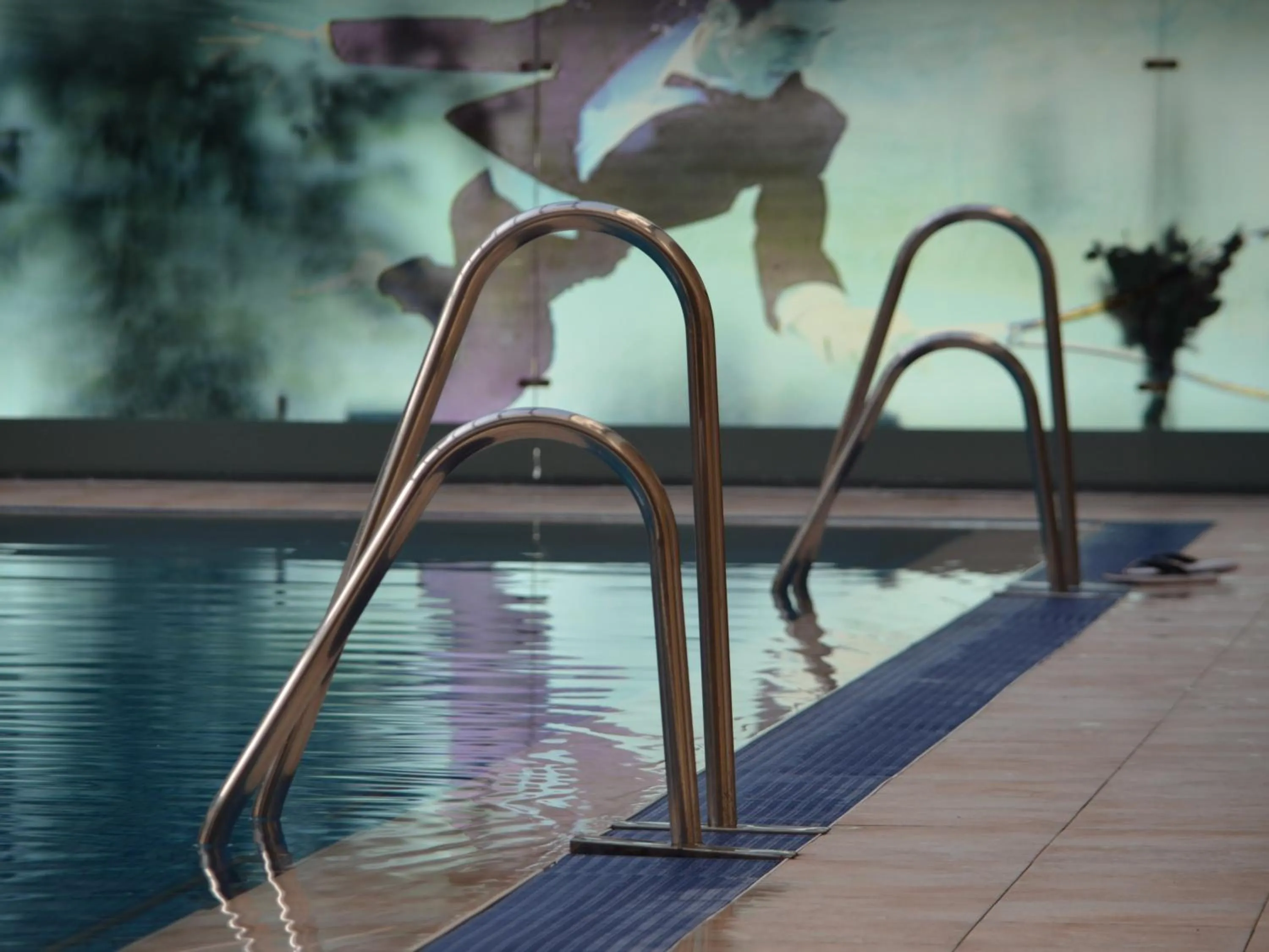 Swimming pool in Hotel EMD