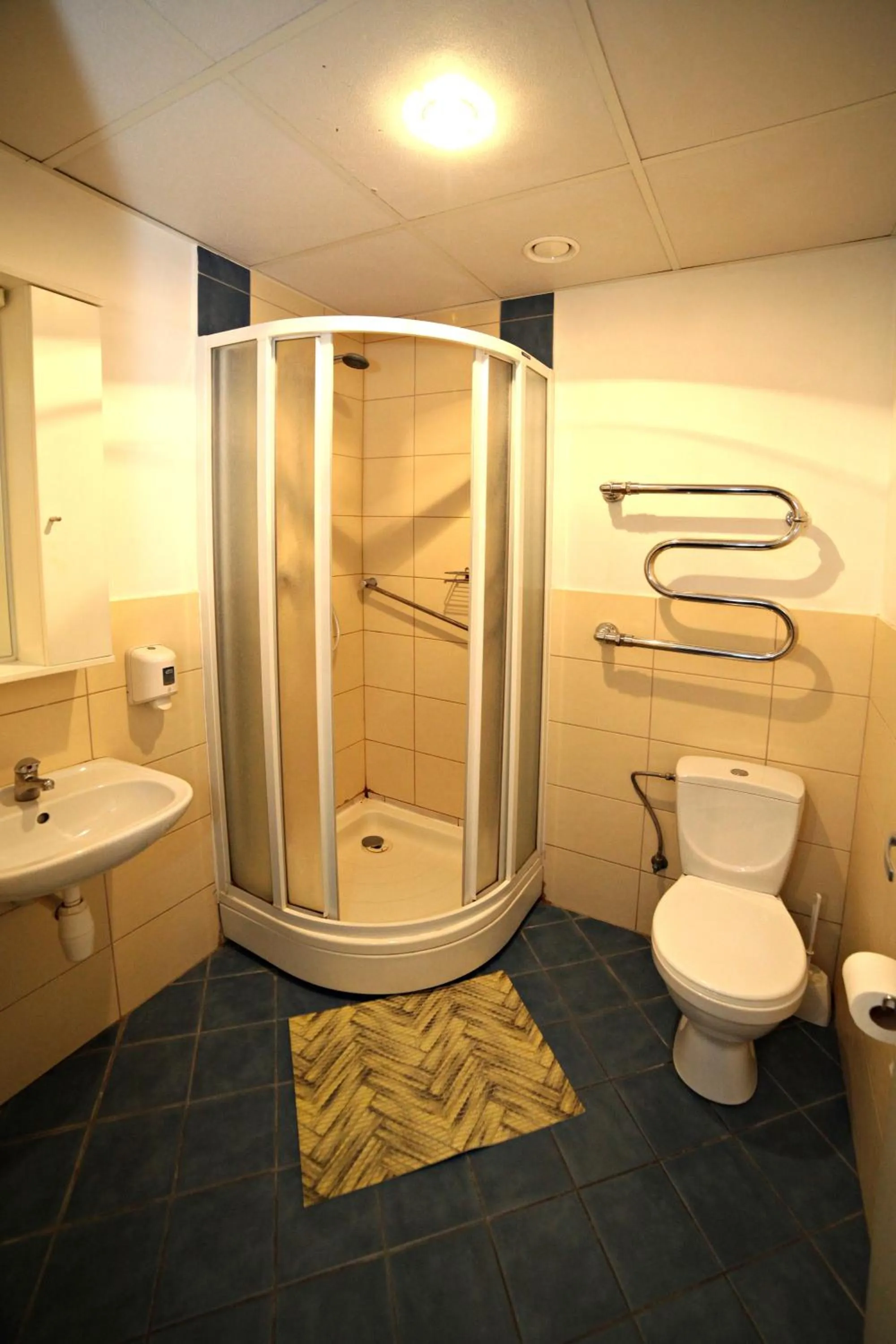 Photo of the whole room in Zemgale